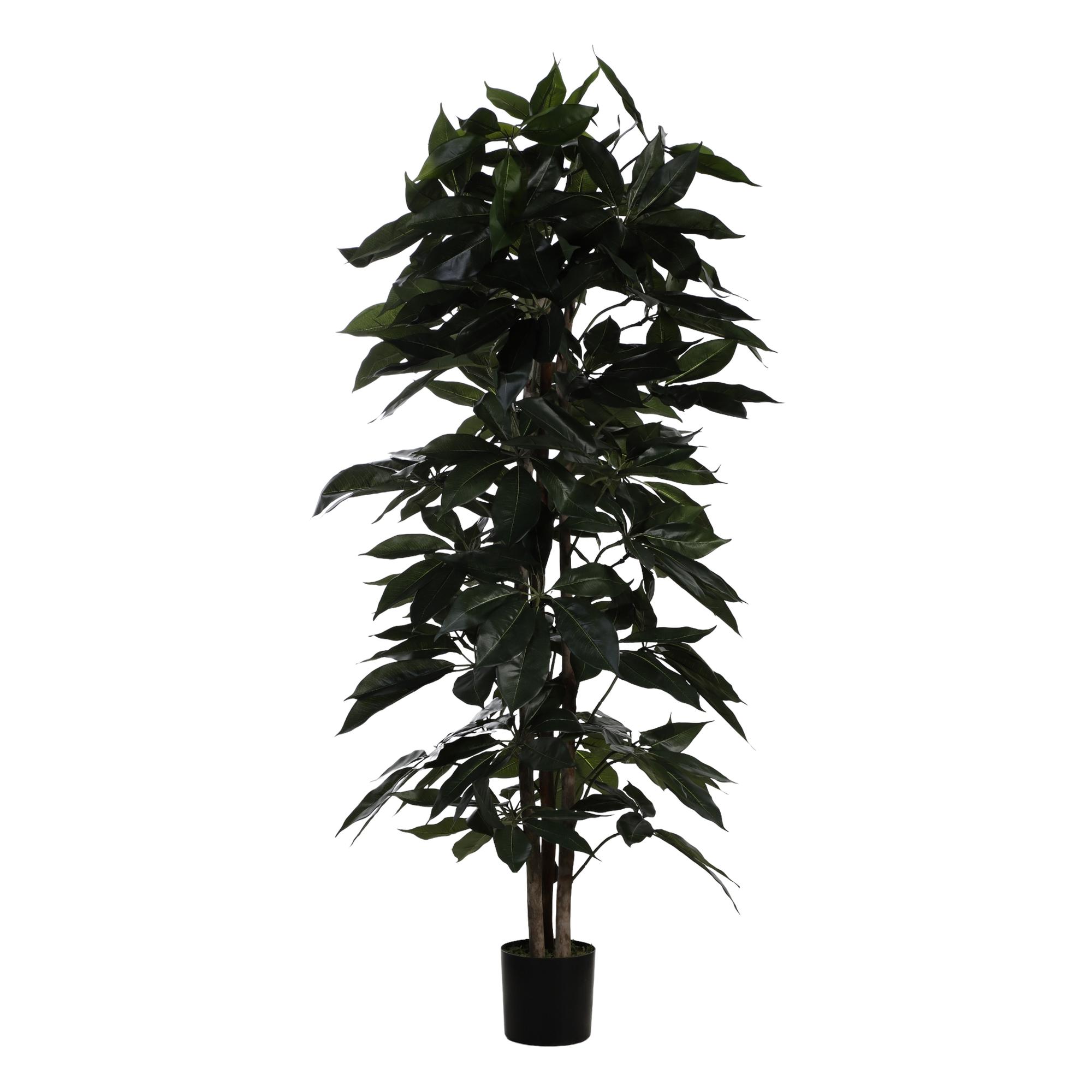 592-312235 - 592-312235