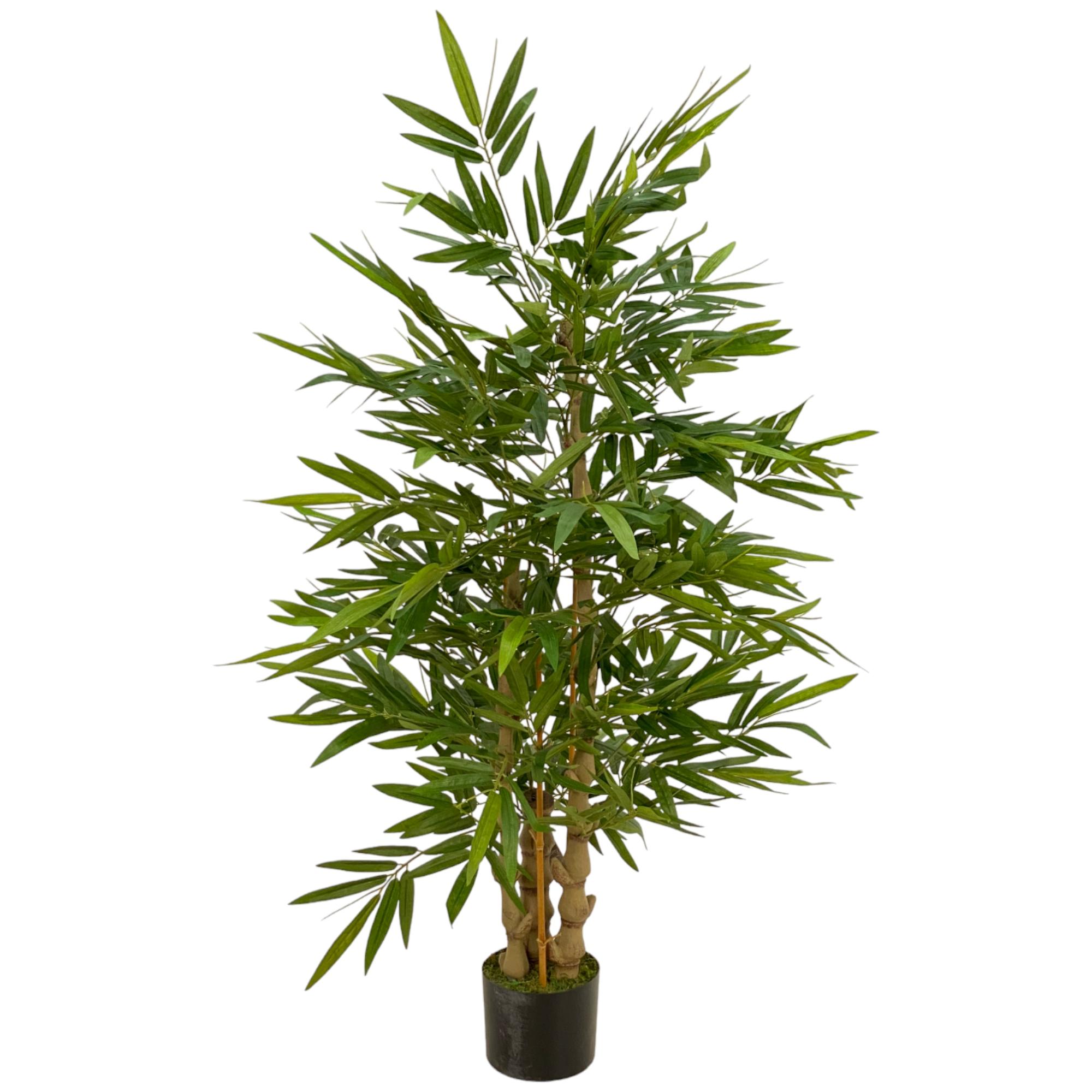 150cm Buhdda bamboo with pot - 592-312252