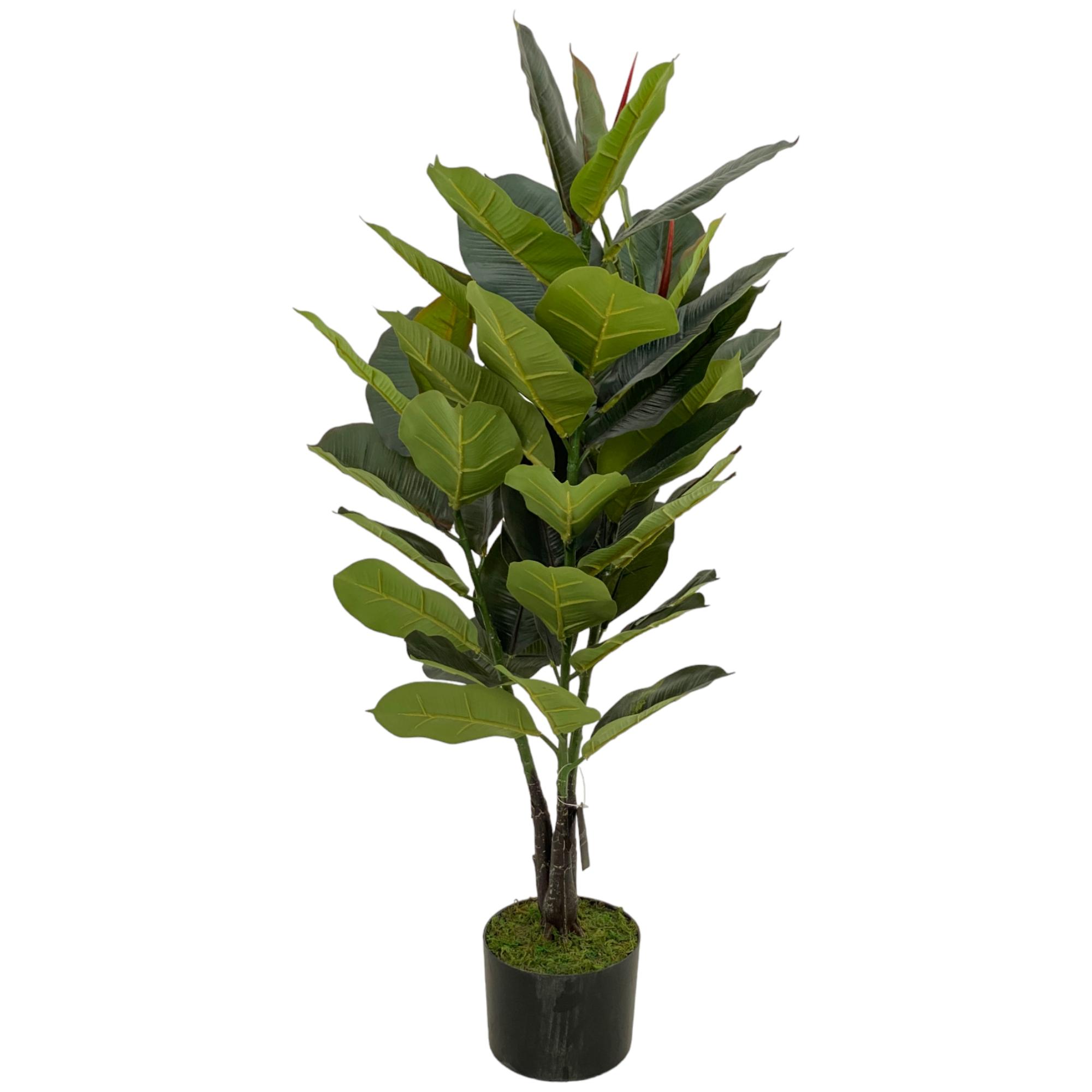 ARBOL C/POTE - 592-312259