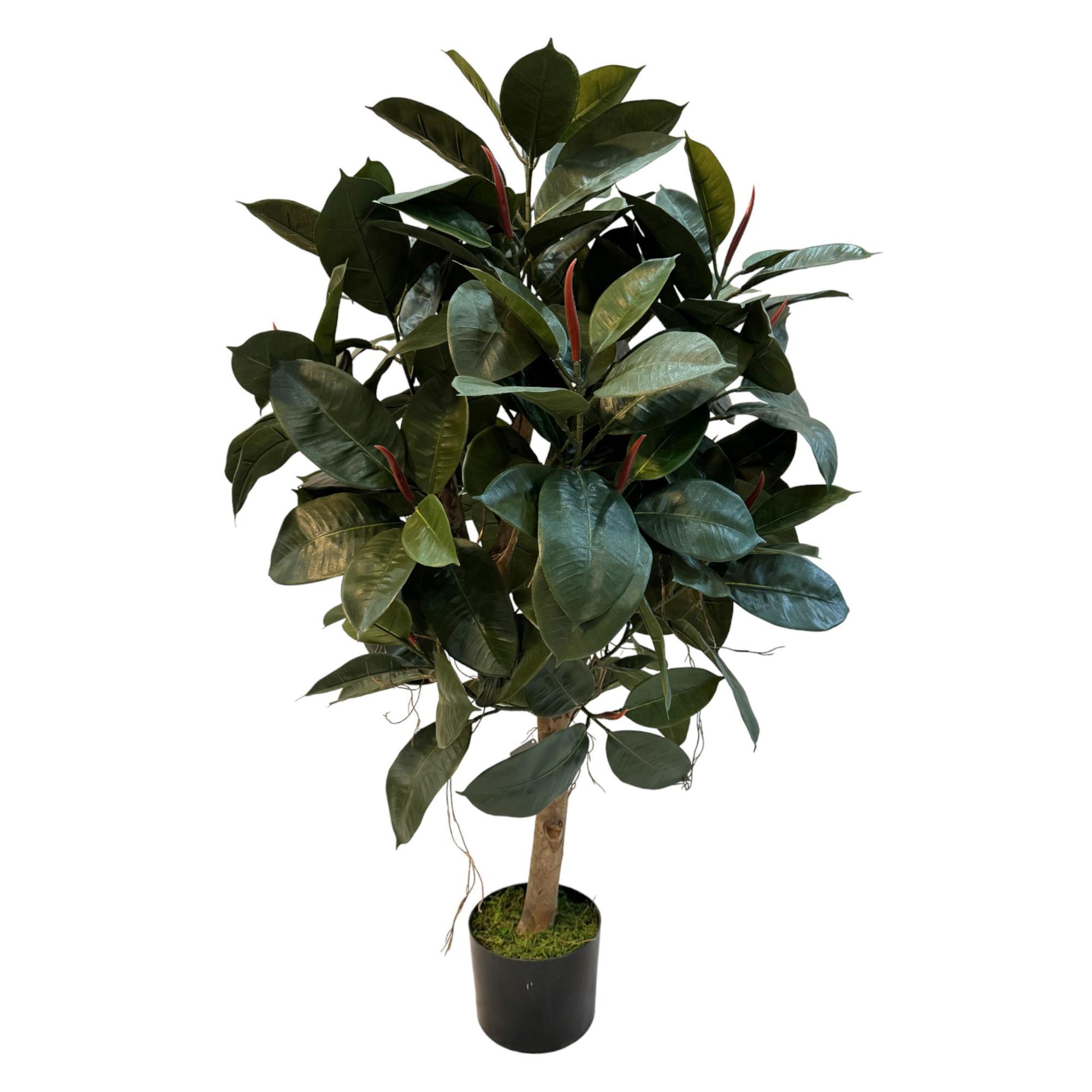 ARTE VEGETAL. C/POTE 45X45X120CM - 592-312276