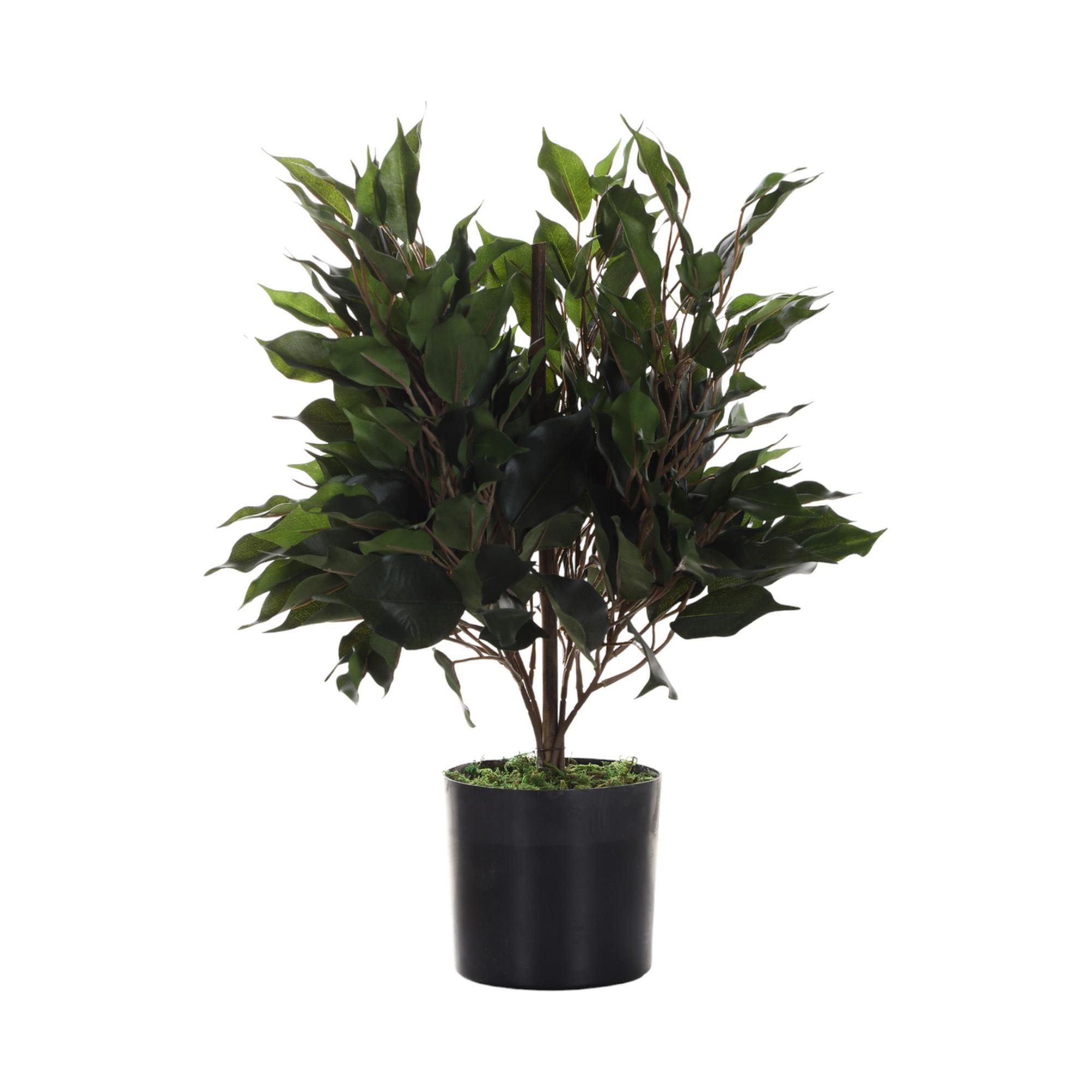 ARTE VEGETAL. VASO C/ 28X28X40 CM - 592-312283