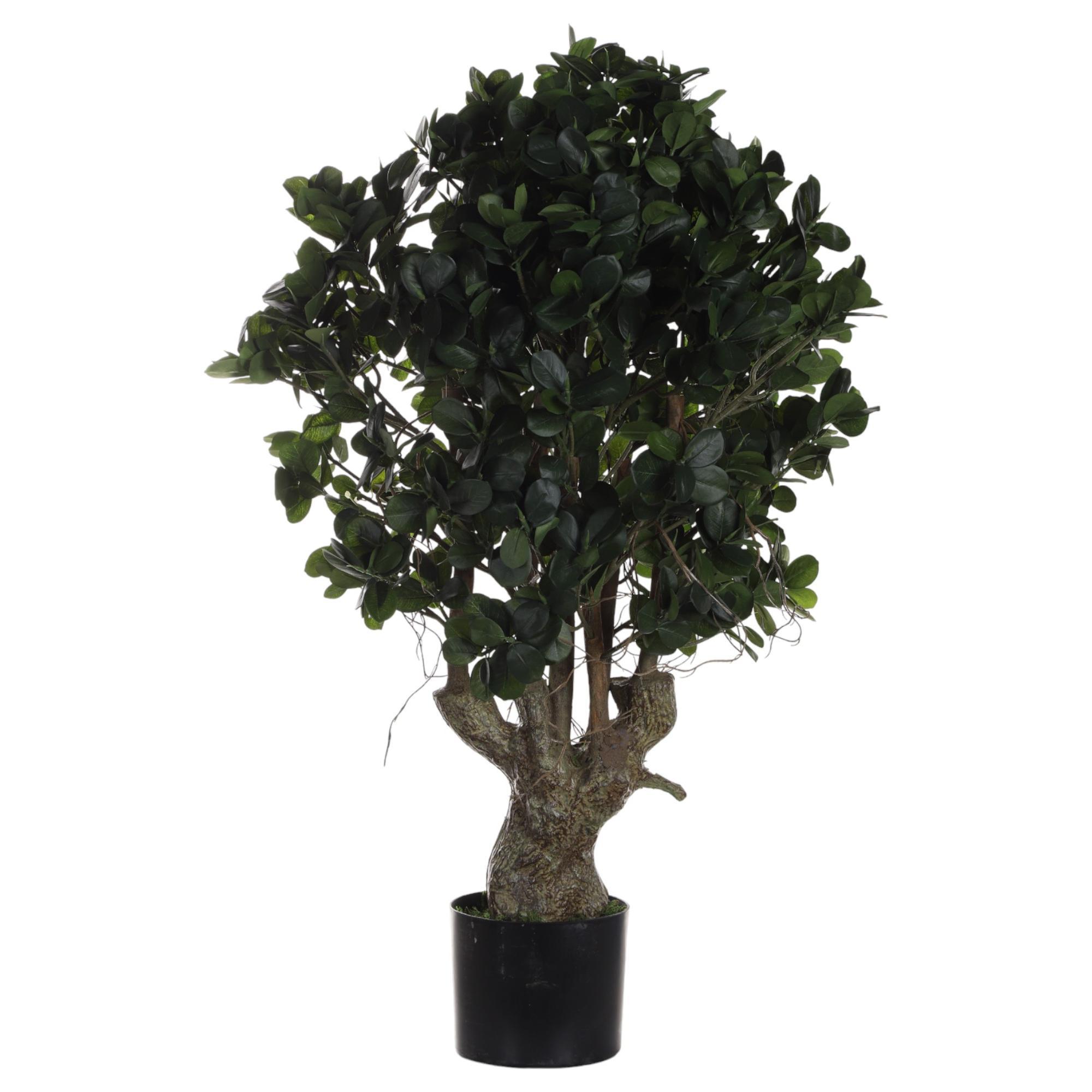 PLANTA ART. C/POTE 50X50X100CM - 592-312287