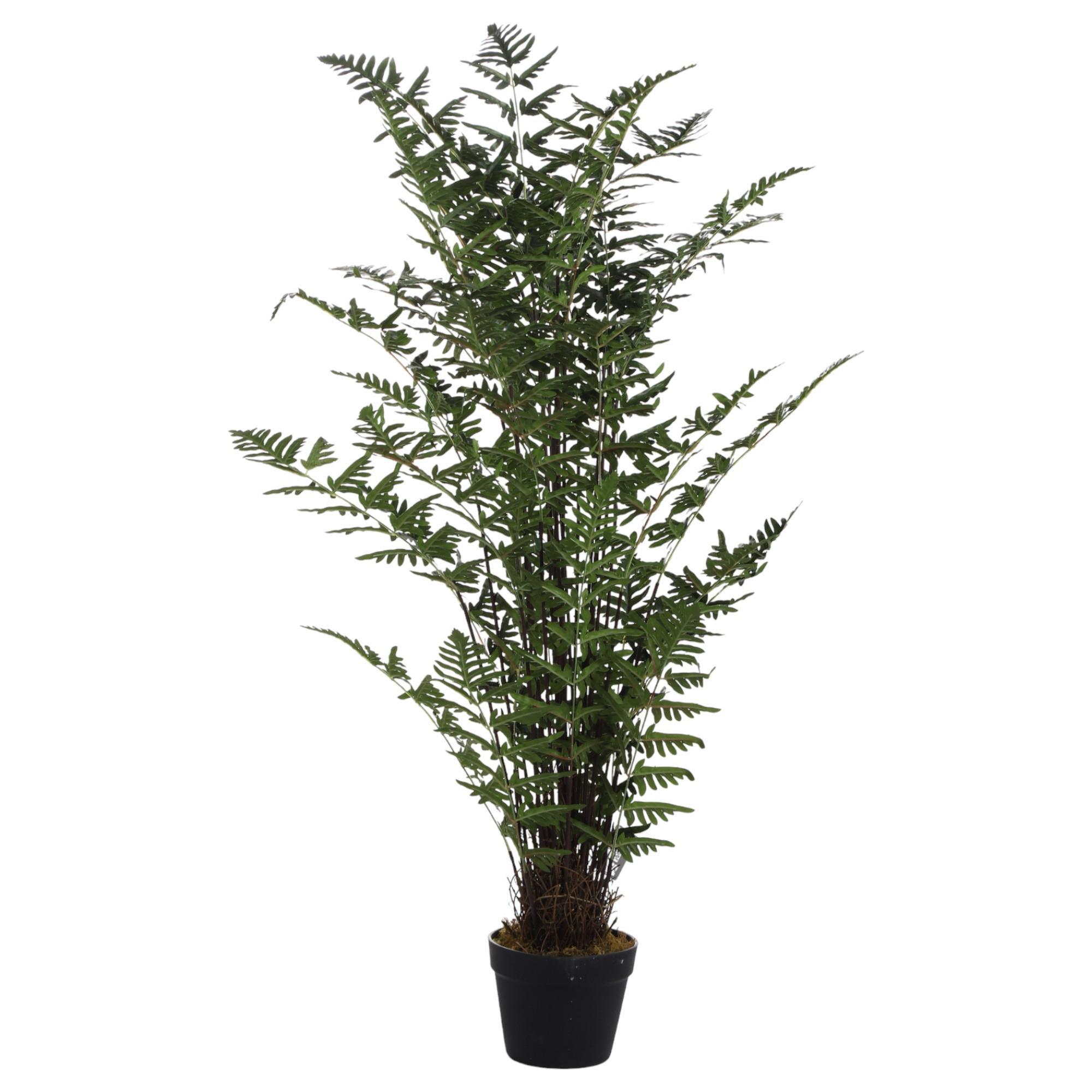100cm Fern palm with pot - 592-312294