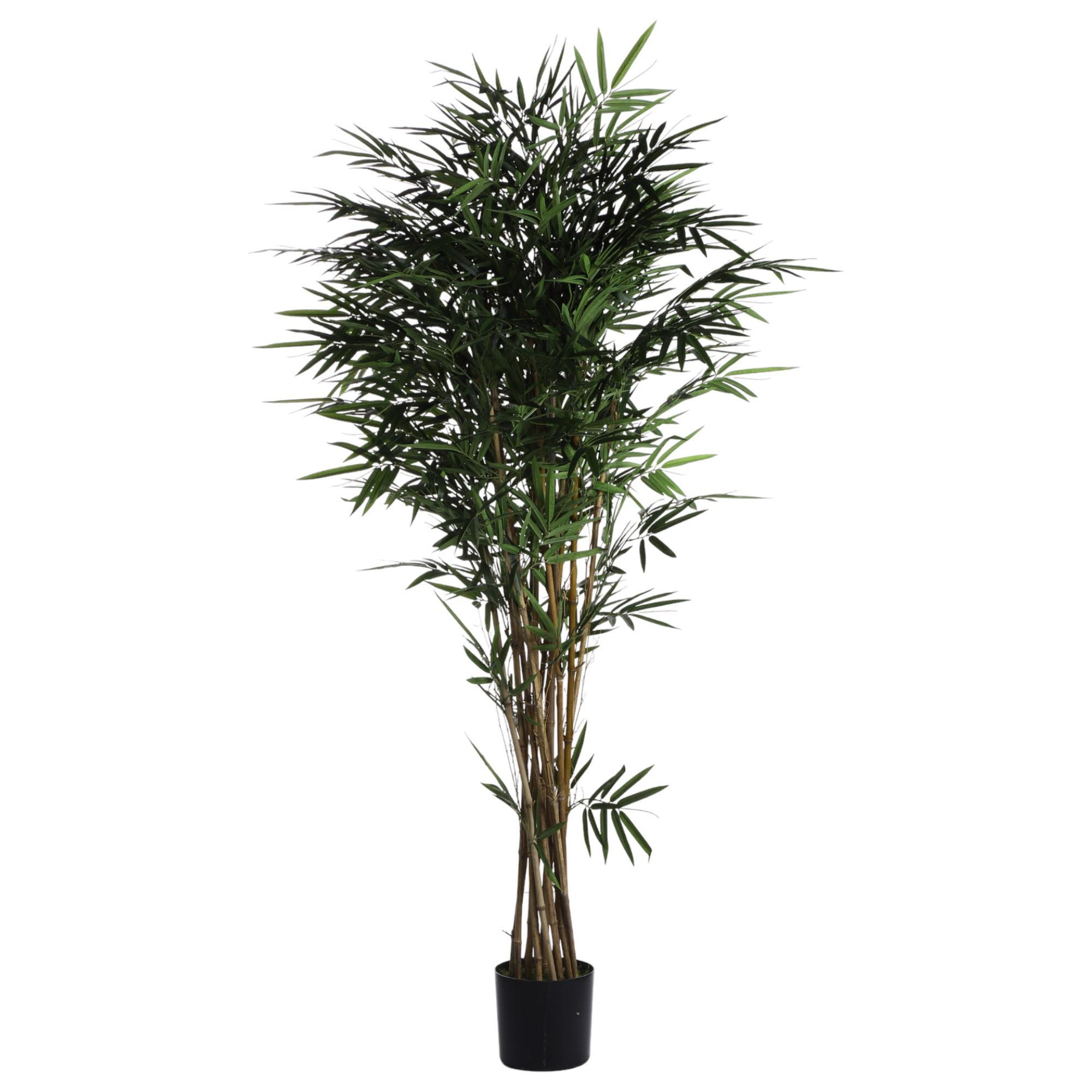 BAMBU C/POTE - 592-312299