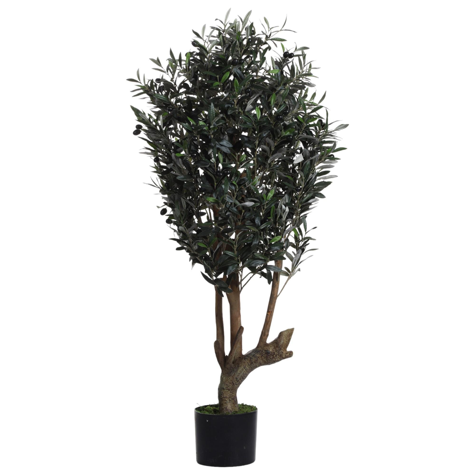 PLANTA C/POTE 40X40X120CM - 592-312303