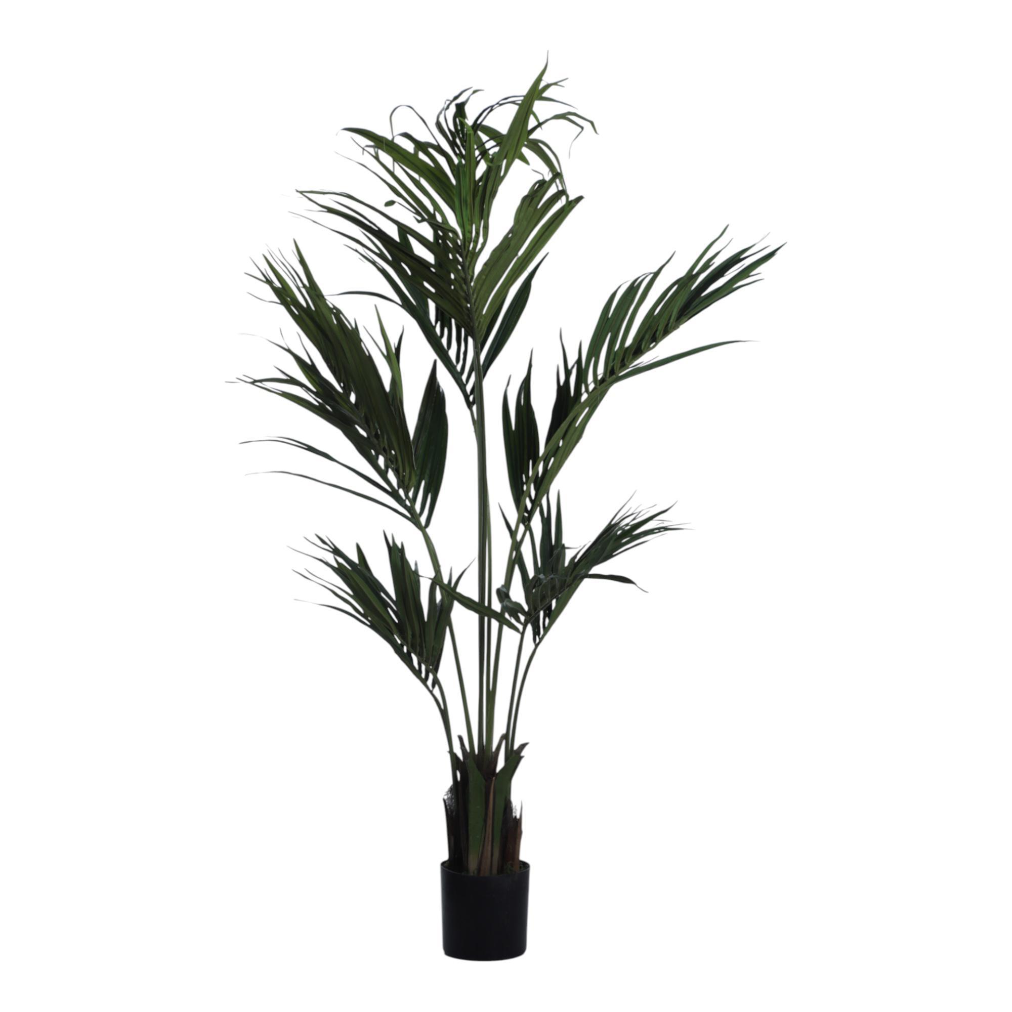 PALMERA CON POTE 45X45X180CM - 592-312331