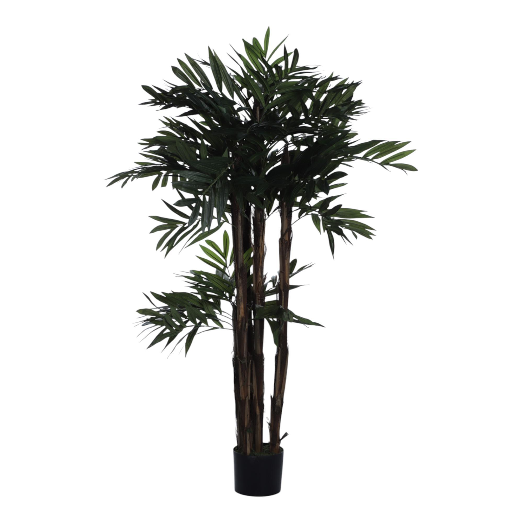 PALMERA CON POTE - 592-312340