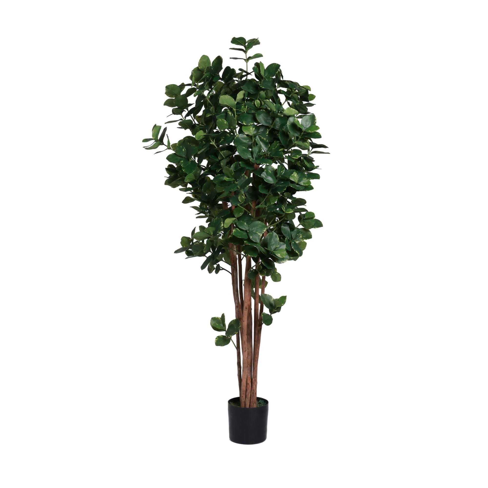 CLAUSIA C/POTE 40X40X180CM - 592-312365