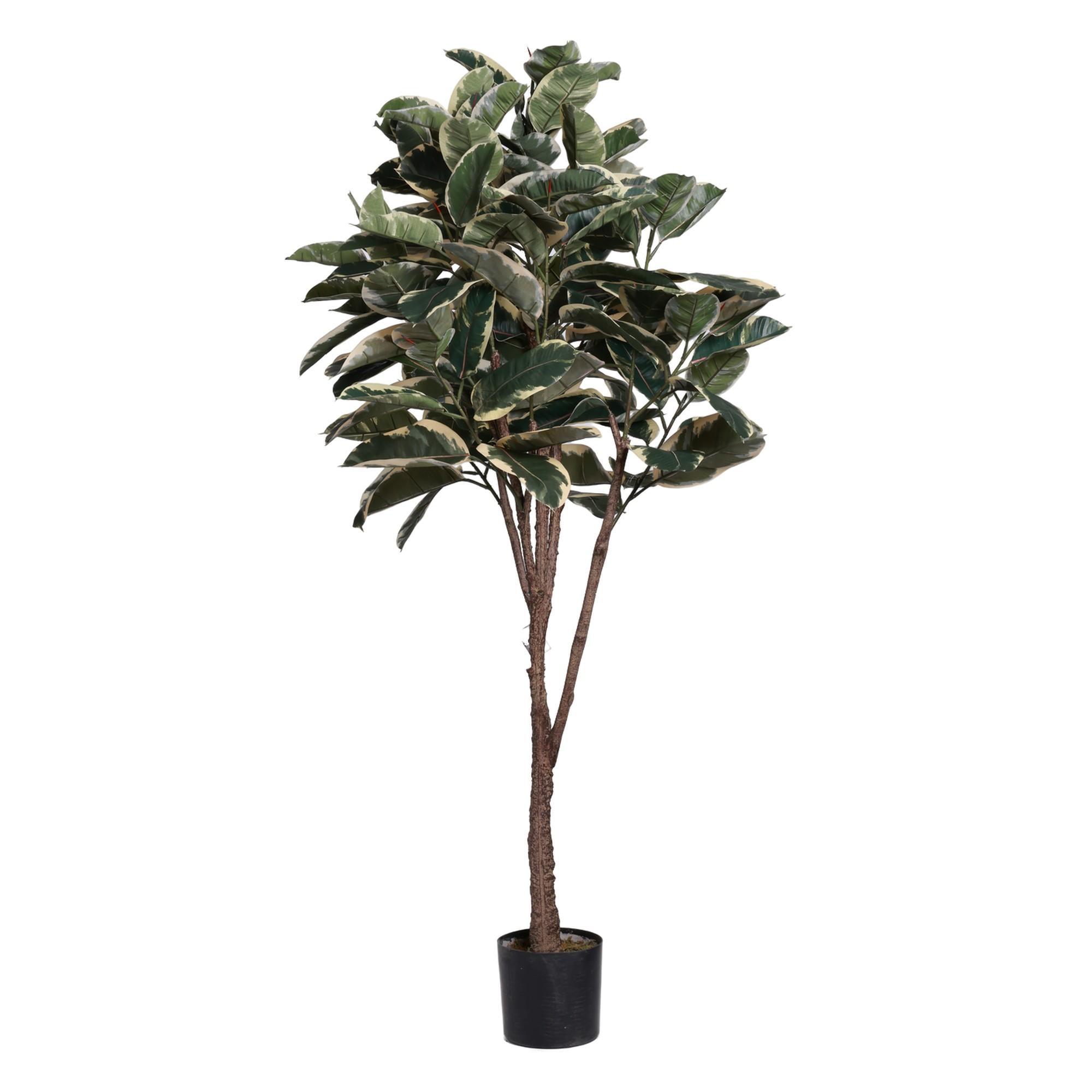 CAUCHO C/POTE 48X48X180CM - 592-312366