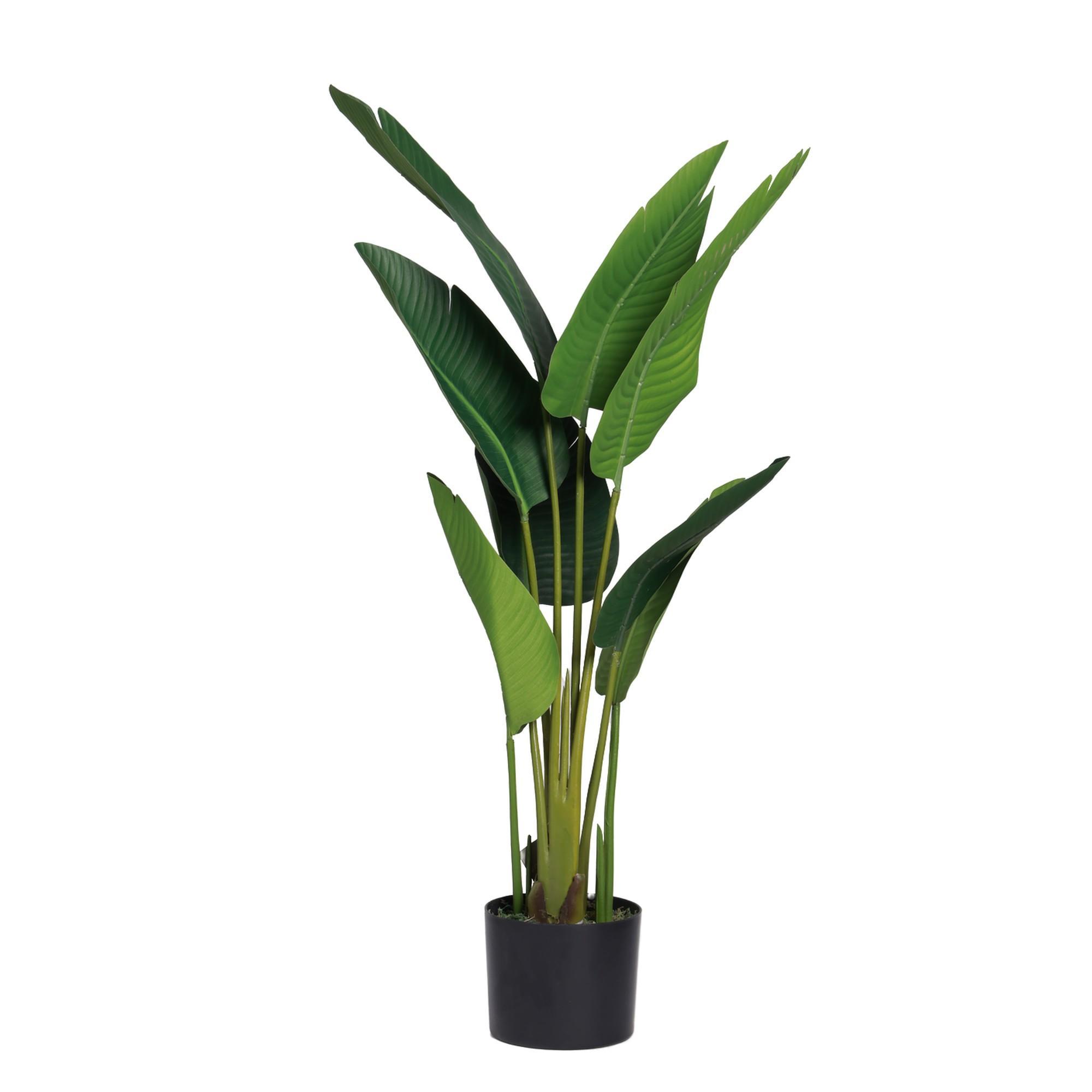 BANANO C/POTE 40X40X120CM - 592-312376
