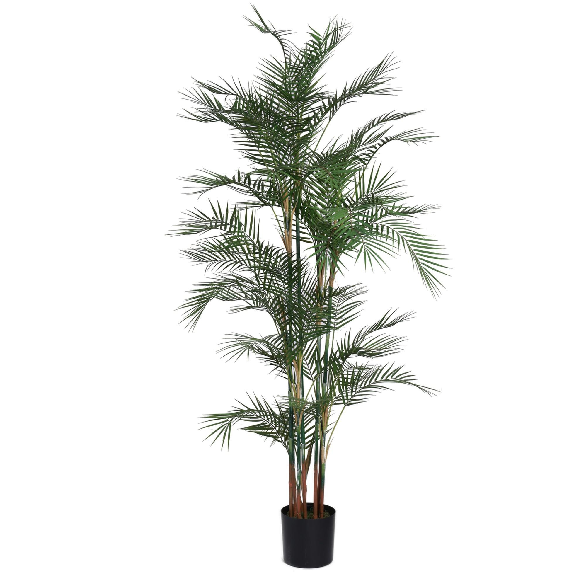 PALMERA C/POTE 45X45X180CM - 592-312388