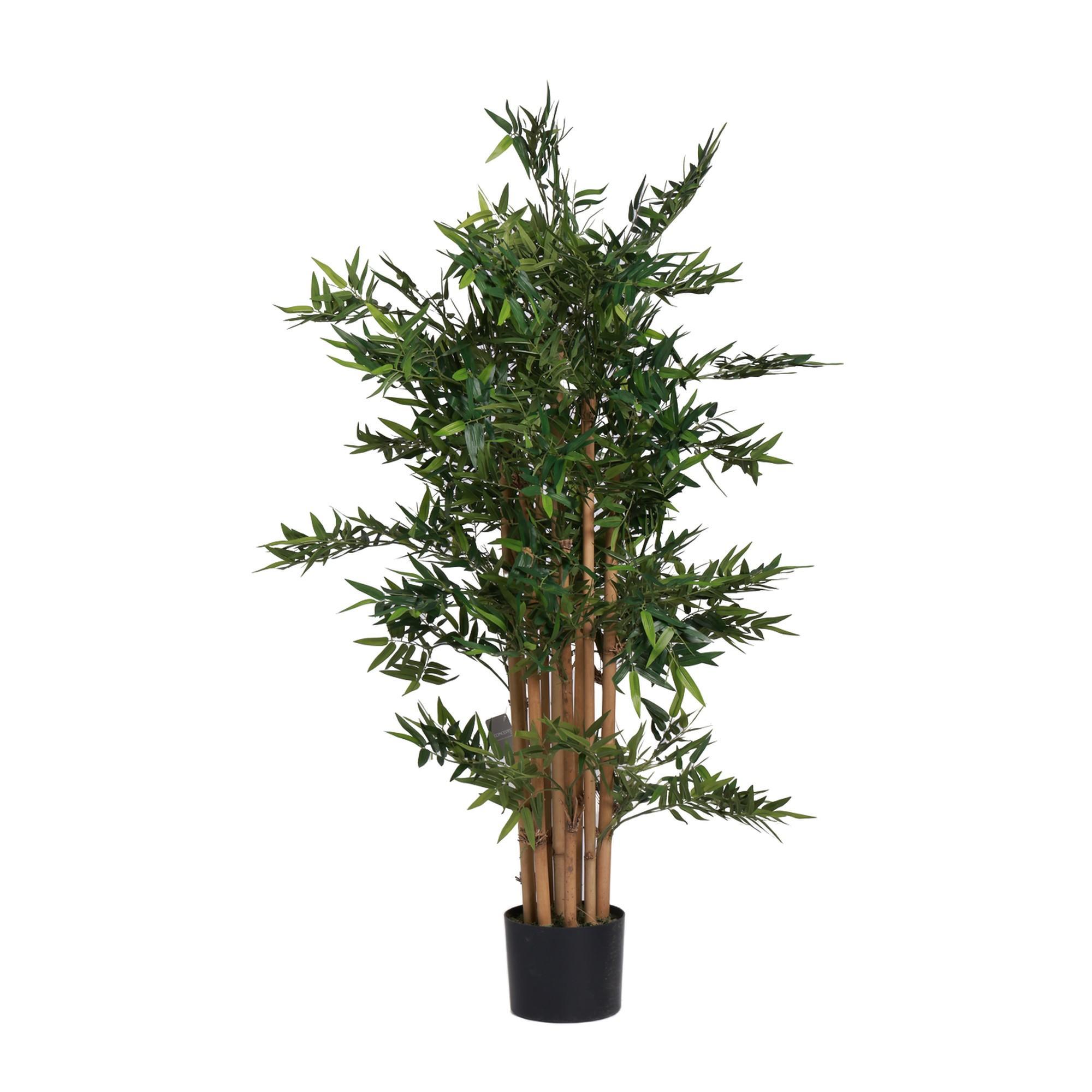 Bambu com panela - 592-312390