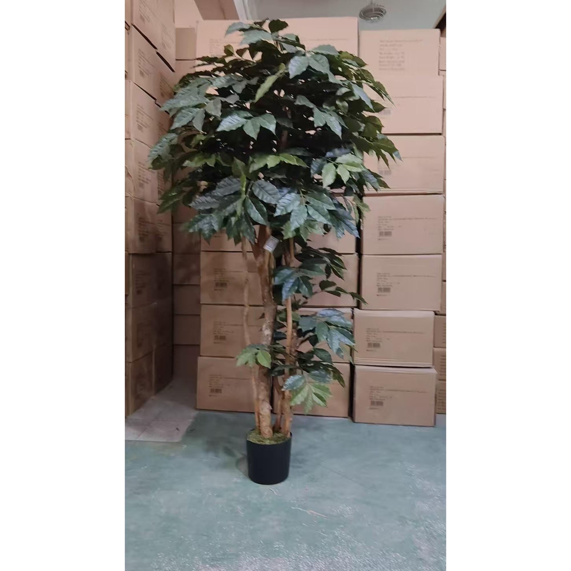 CAFEEIRO 60X60X180CM - 592-312410