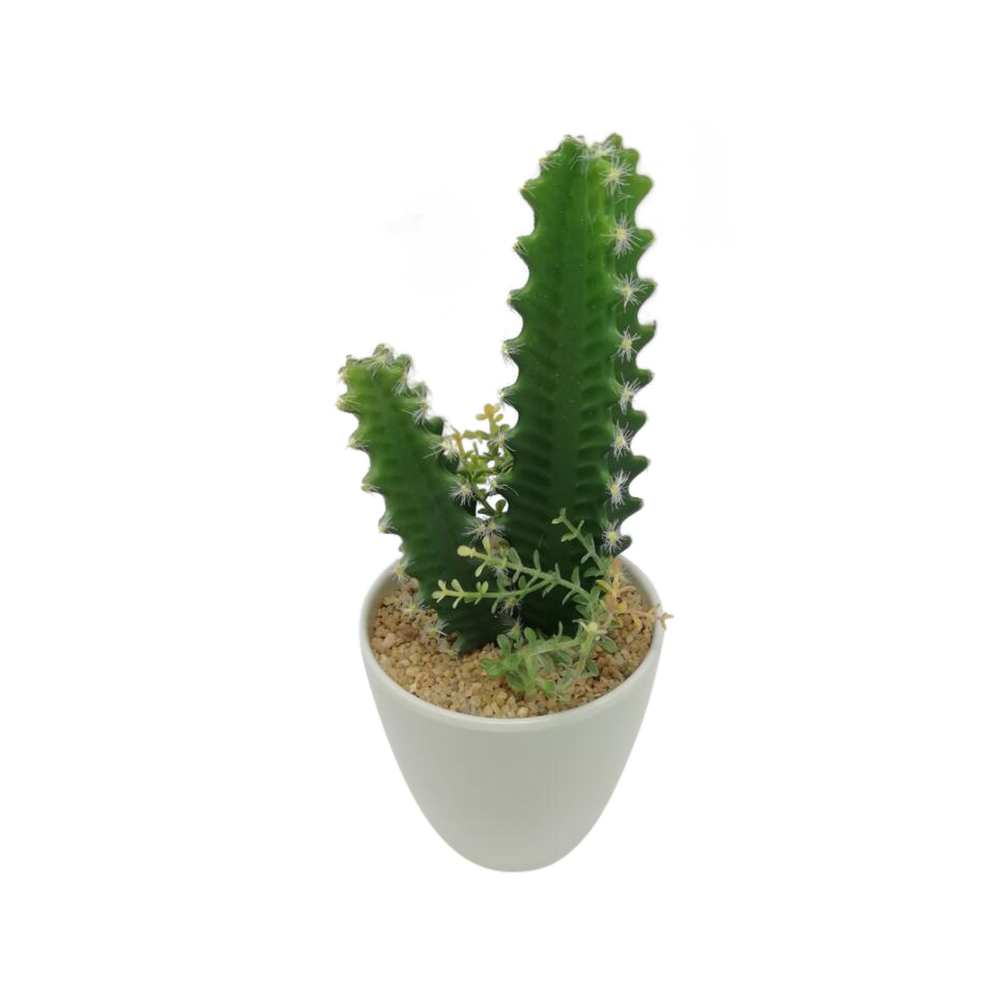 PLANTA ART. C/POTE 9X9X23CM - 592-360096