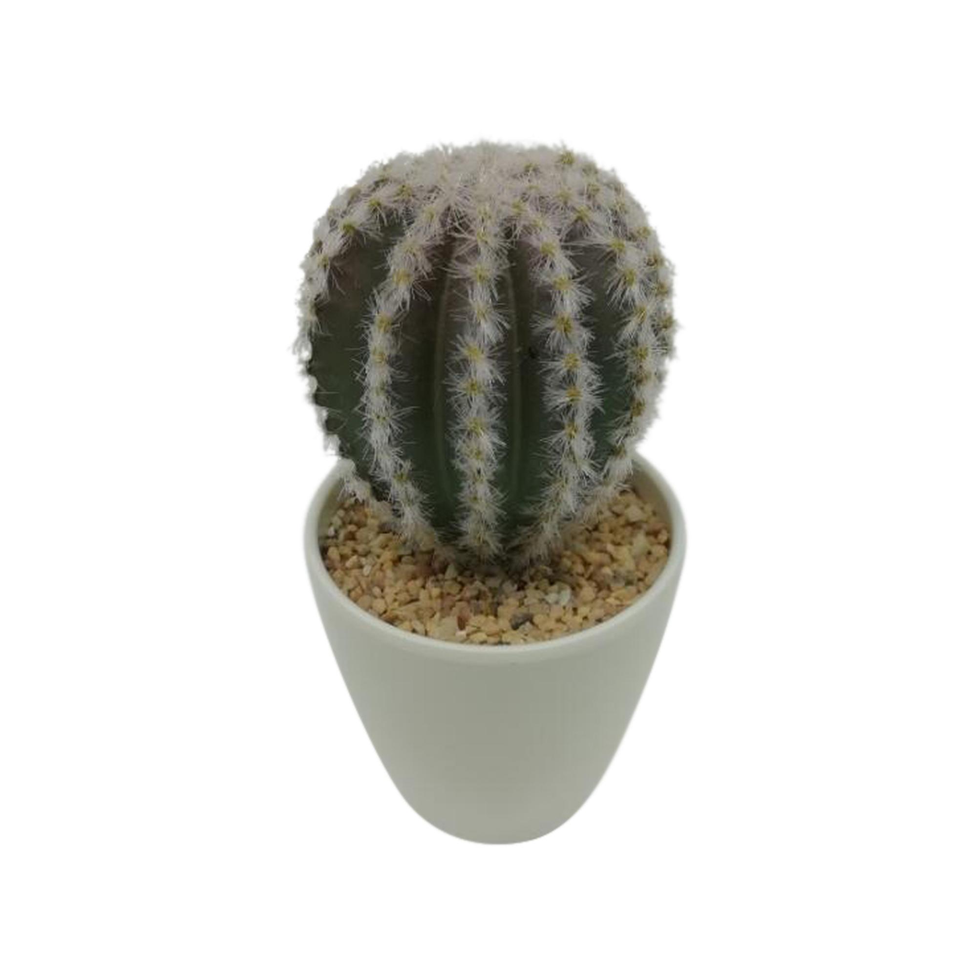 CACTUS ART. C/POTE 7.5X7.5X14. - 592-360097