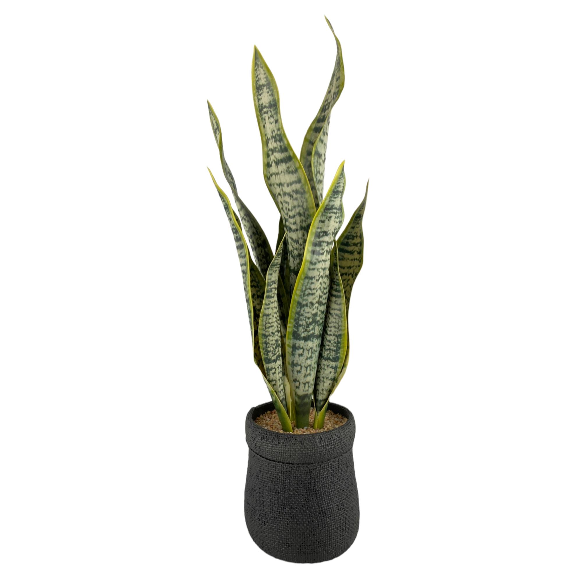 PLANTA C/POTE 20X18X53CM - 592-360127