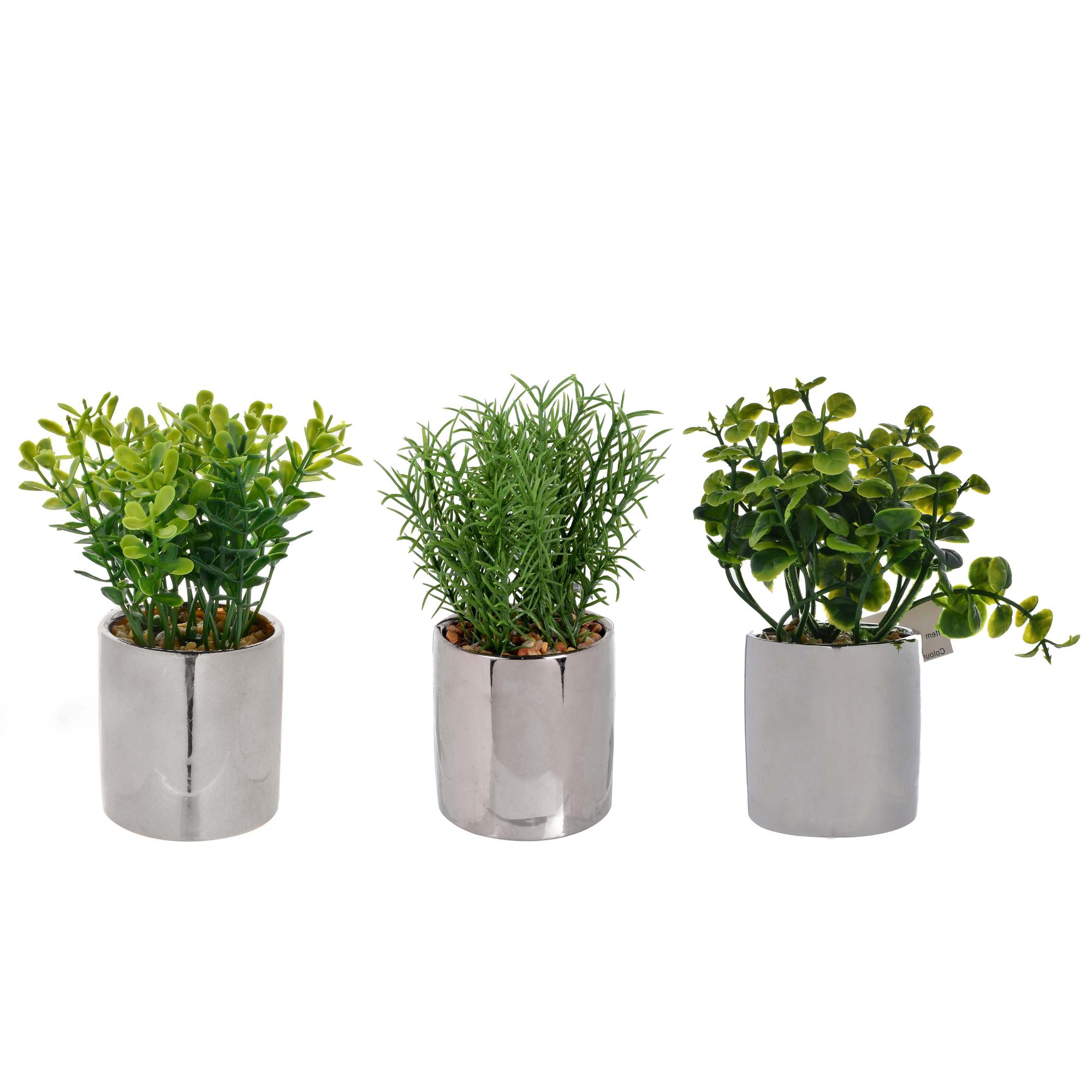 PLANTA C/POTE SURT 3PZ  14CM - 592-370238