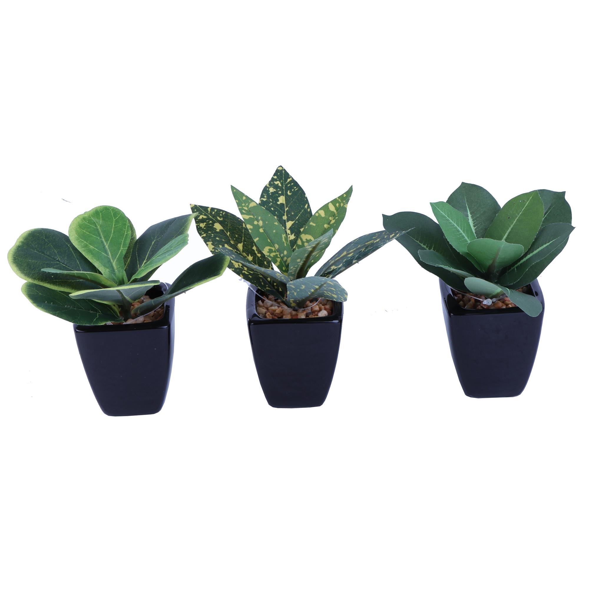 PLANTA COM VASO 3SURT 5,5 X 6,5 CM - 592-370292