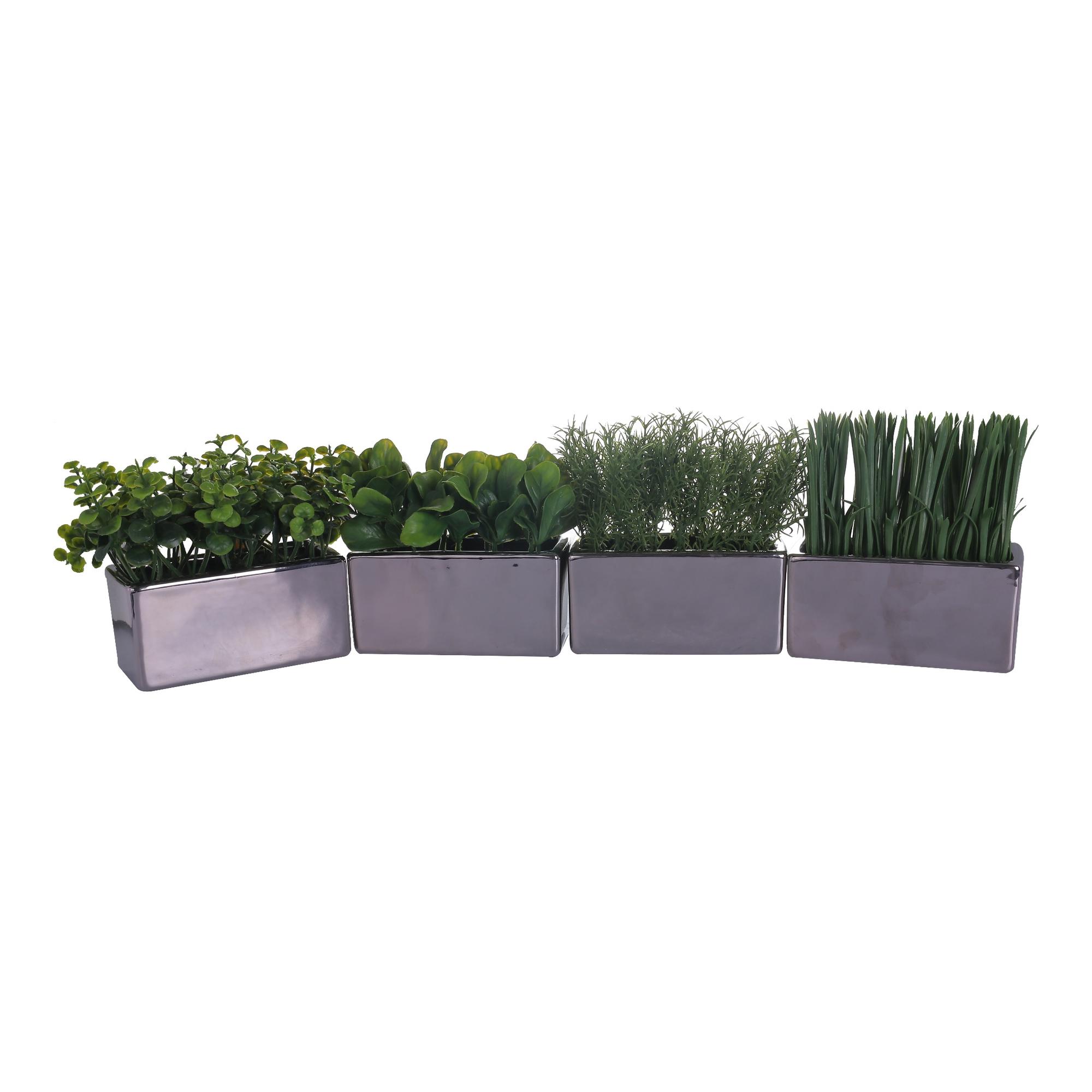 12-14CM GRASS IN POT - 592-370307