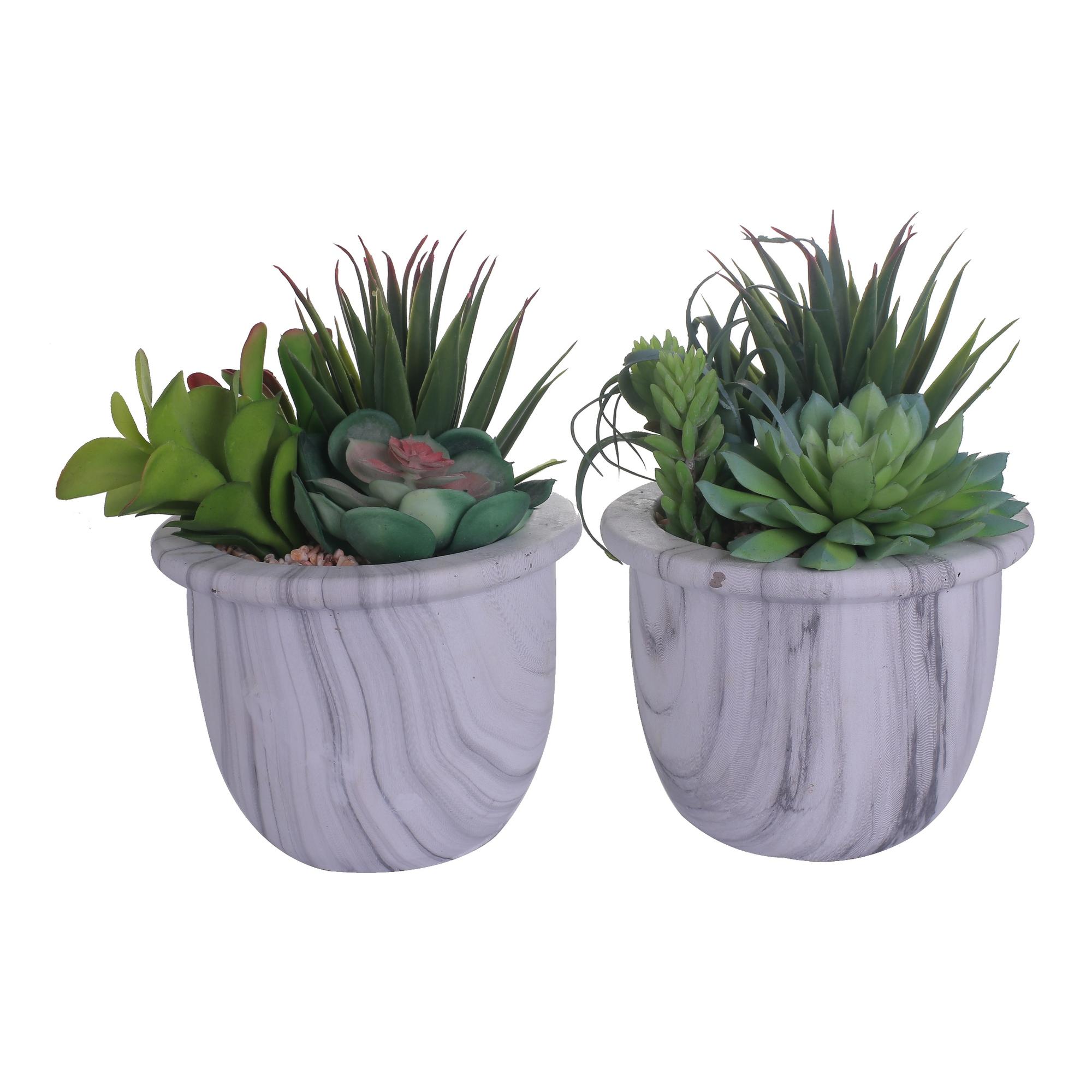 SUCULENTA COM VASO 2SURT 14X10 CM - 592-370312
