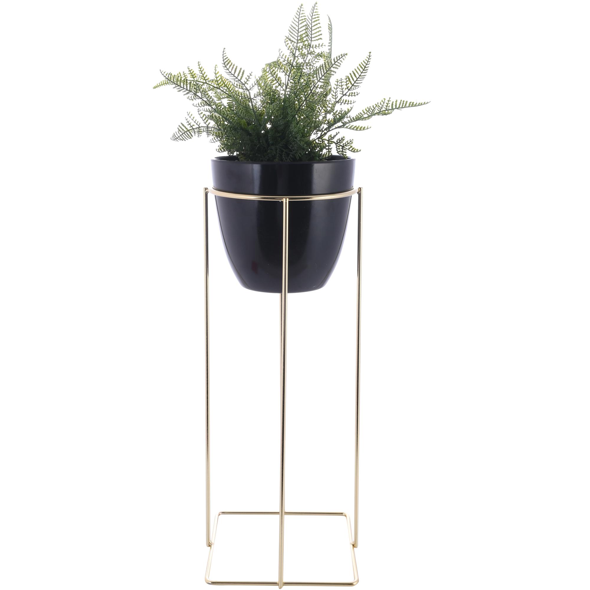 SIZE:20*20*73CM PLANT IN PLASTIC POT - 592-370381