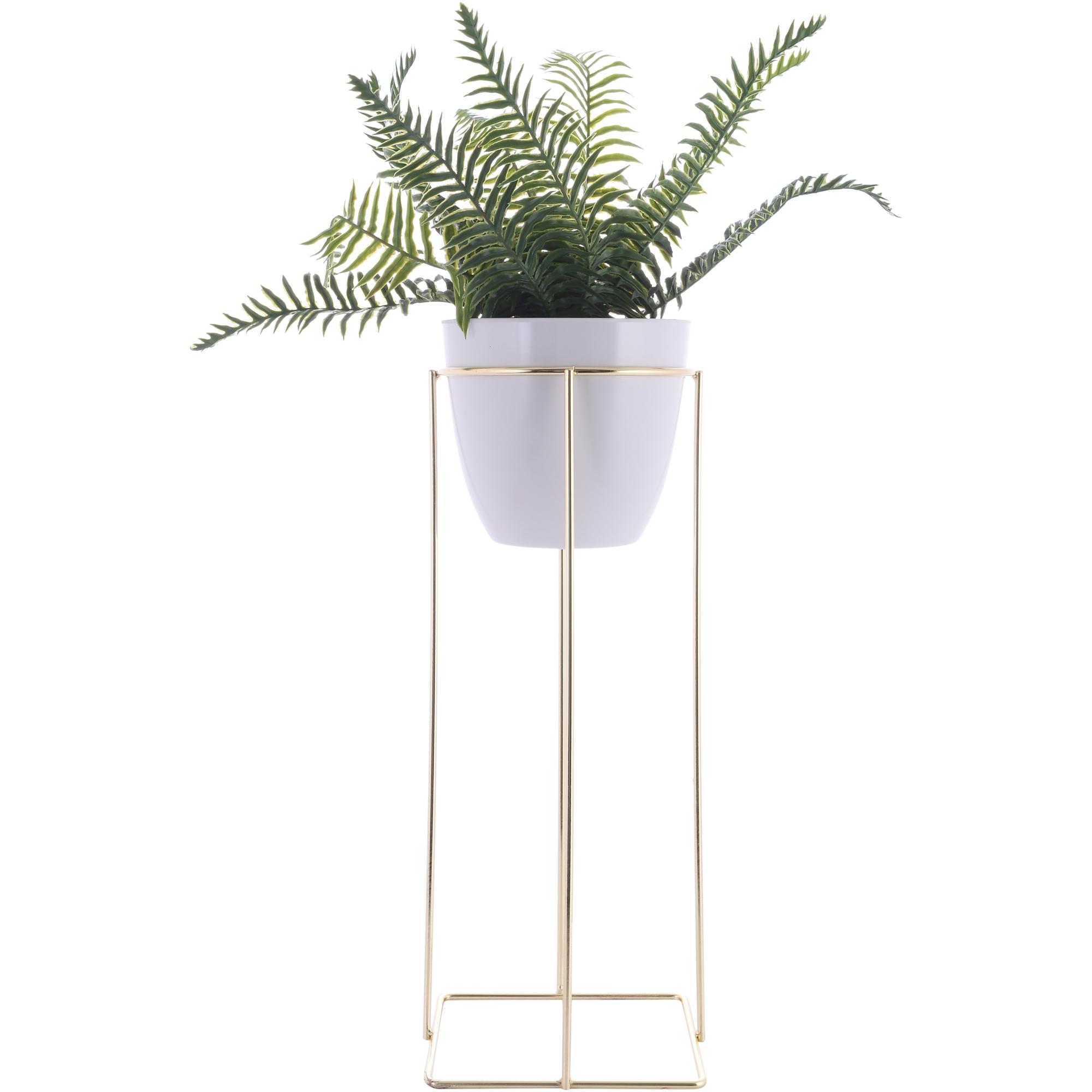 SIZE:20*20*74CM PLANT IN PLASTIC POT - 592-370382