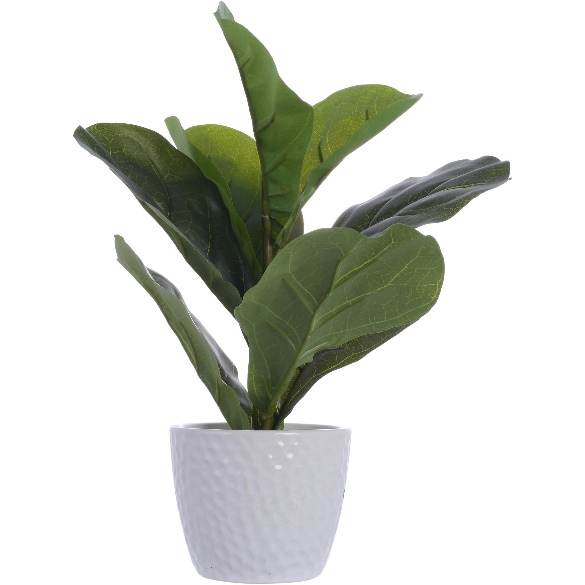 ARTE VEGETAL. C/POTE - 592-370393