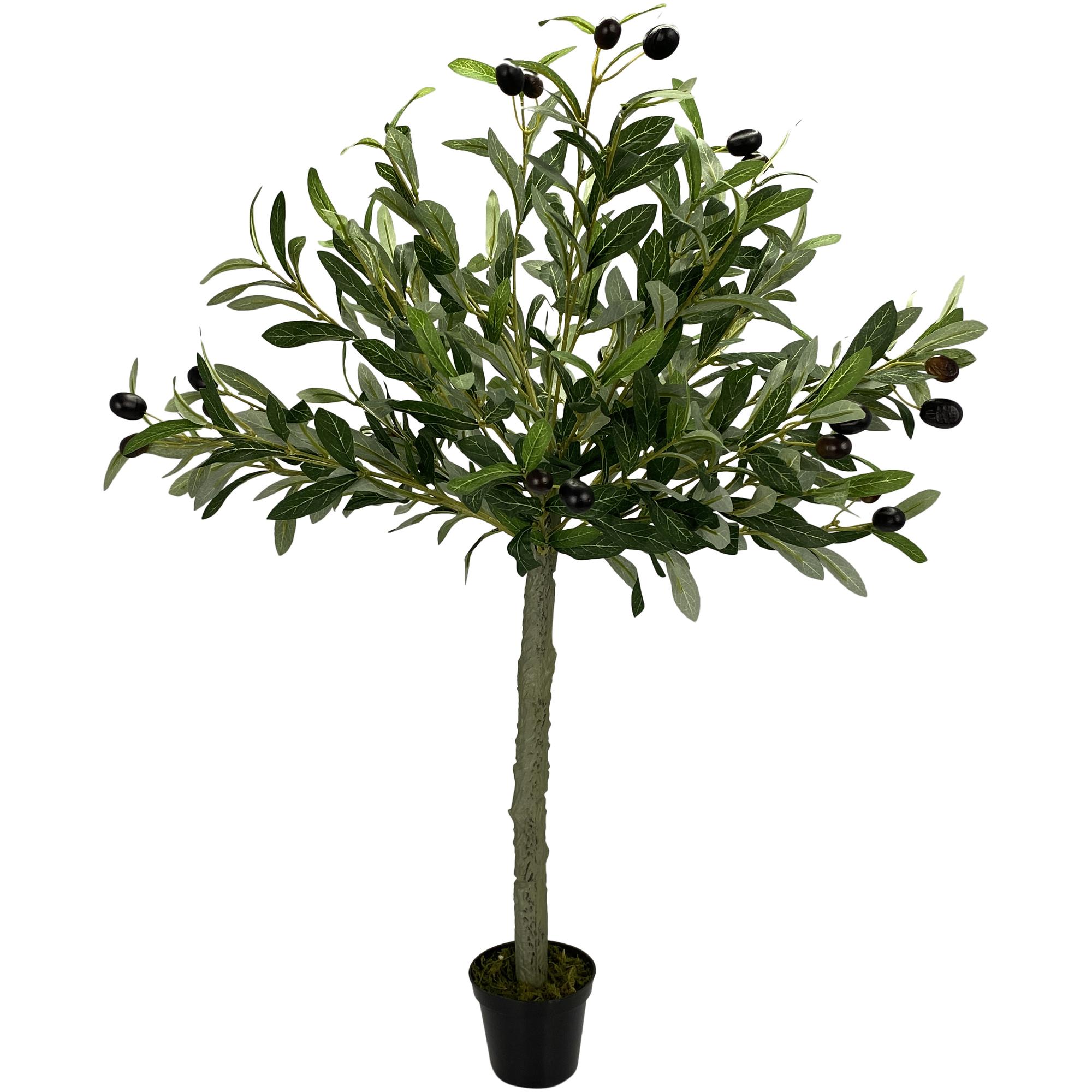 PLANT C/POT 38ML 8X8X80CM - 592-370403