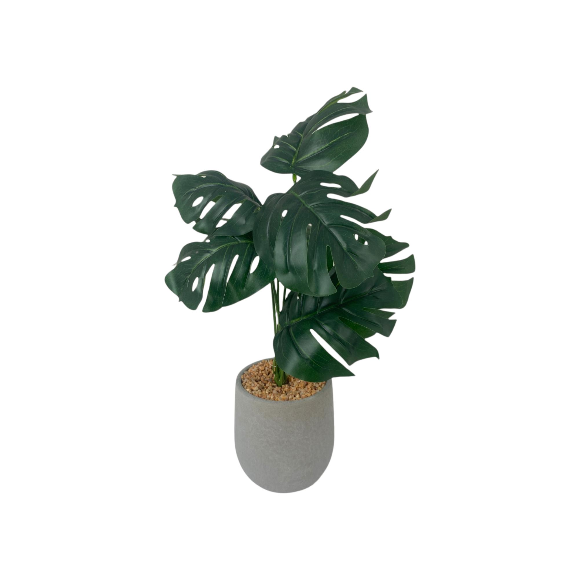 ARTE VEGETAL. C/POTE 11X11X45CM - 592-370459