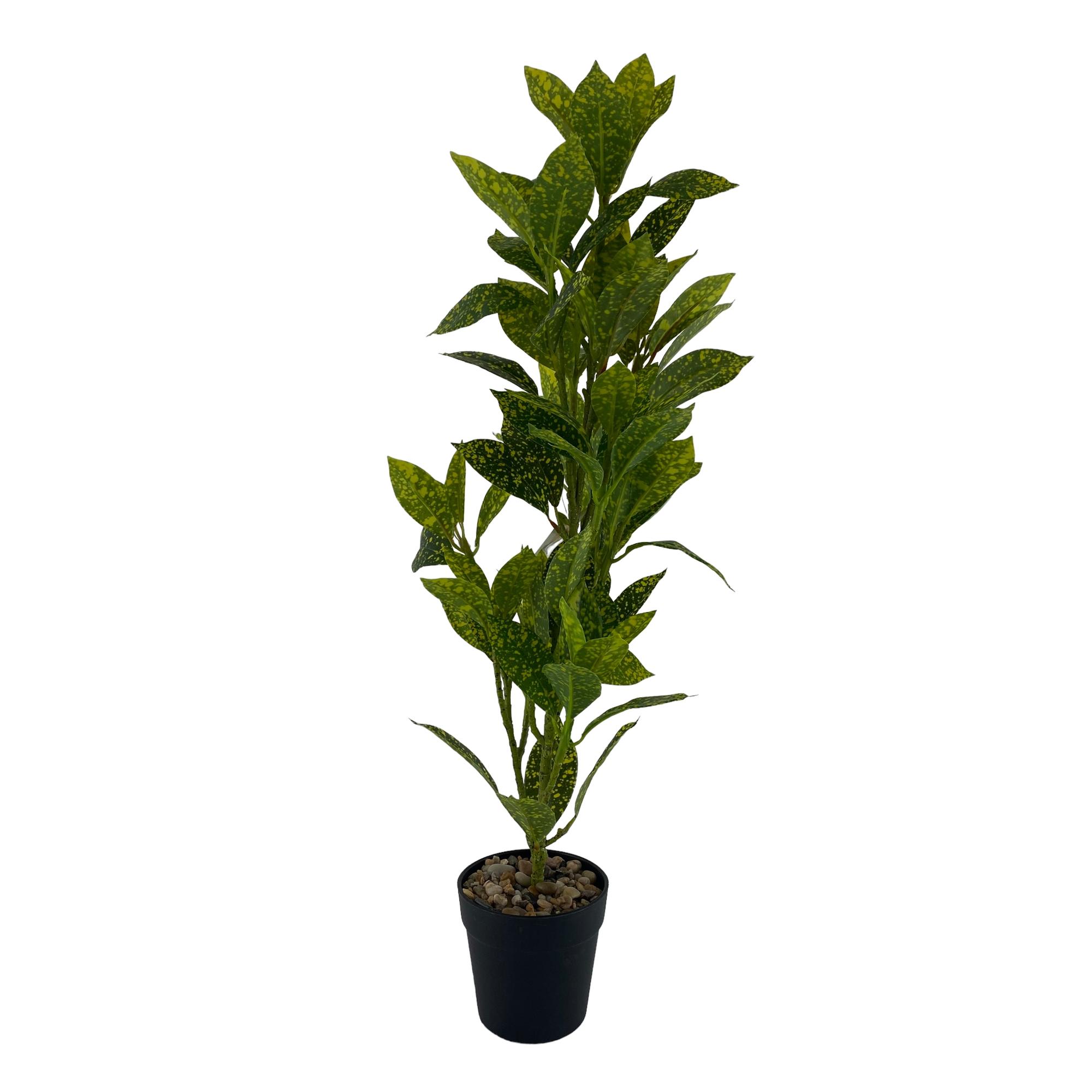 PLANTA C/POTE 11X11X60CM - 592-370674