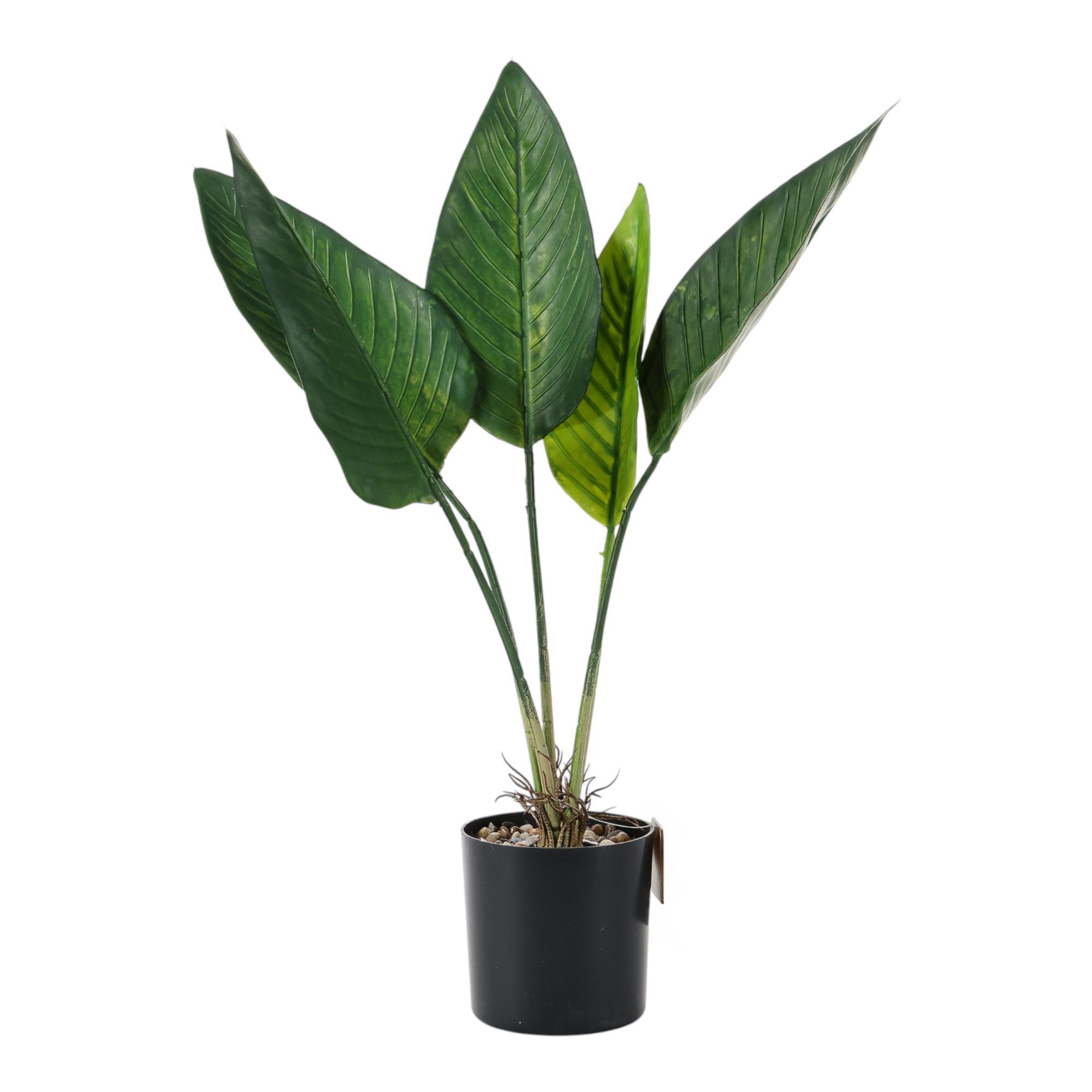Planta c/pote 30X30X45CM - 592-370815
