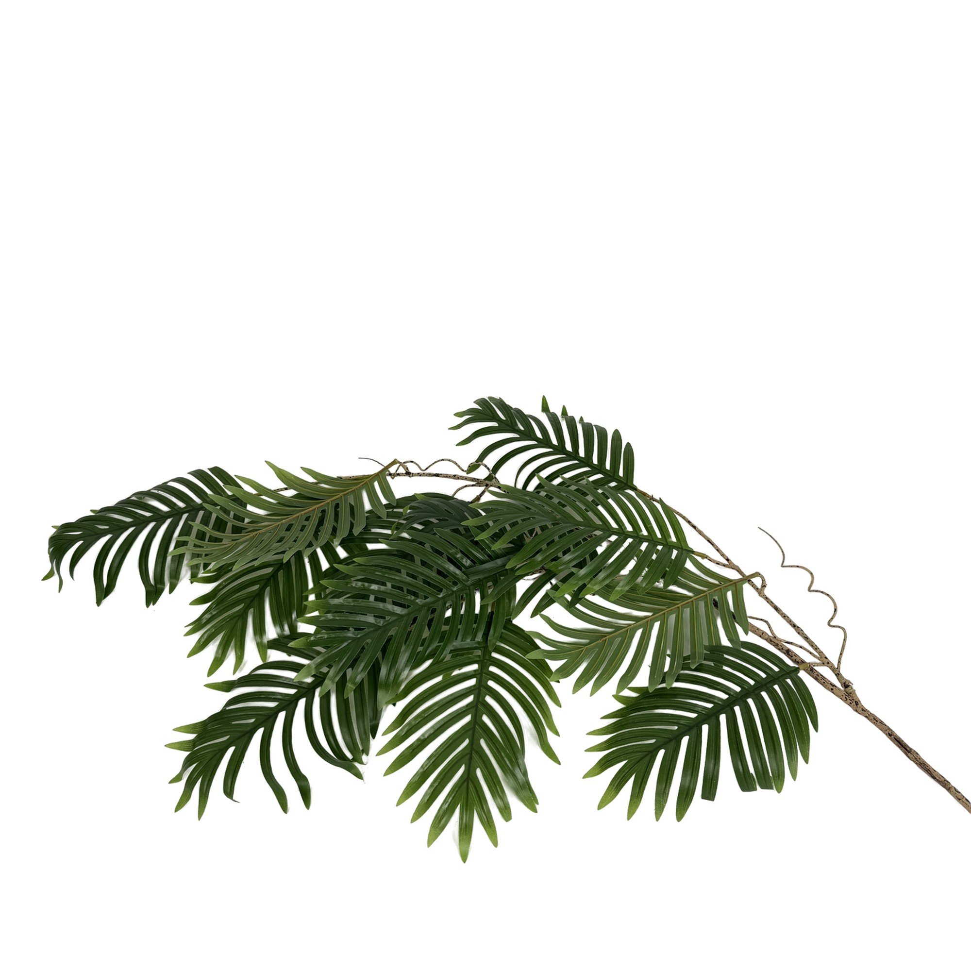 HOJA DE PALMA 25X25X115CM - 592-370825