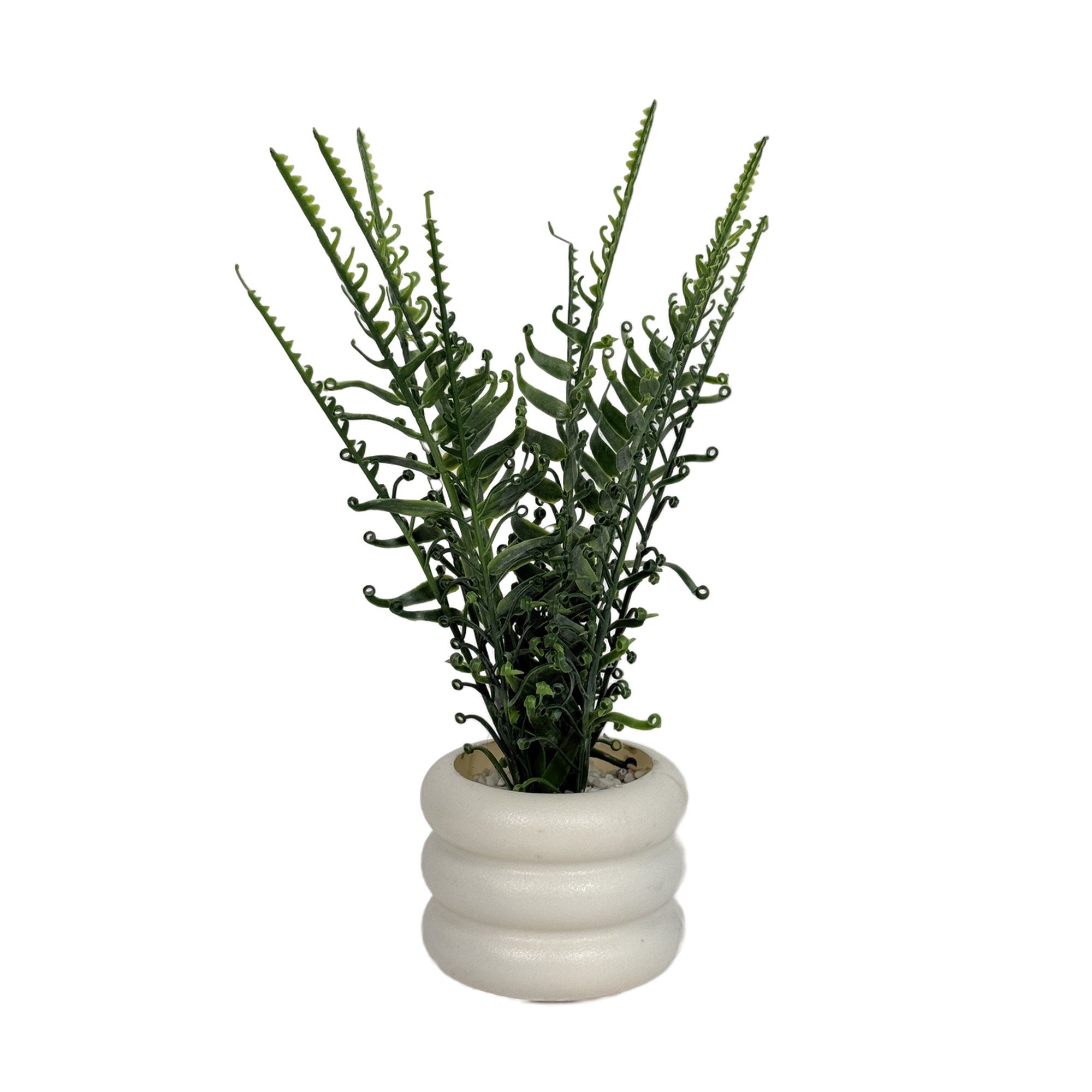 PLANTAS DECOR 10.5X10.5X38CM - 592-370827