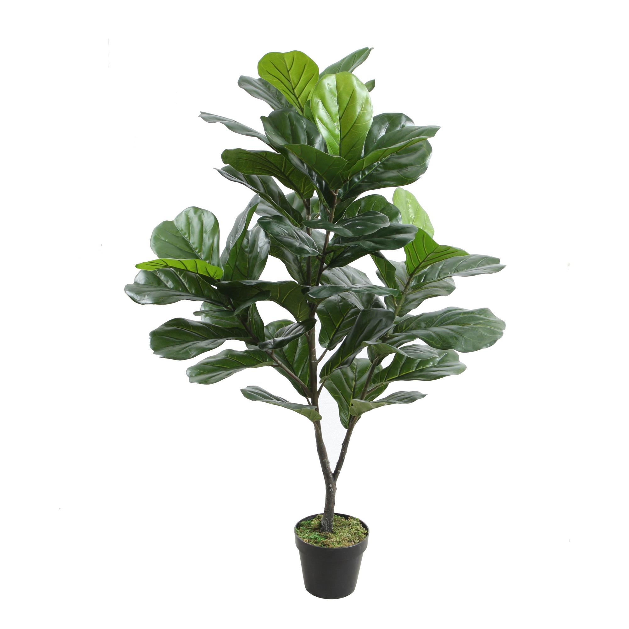 PLANTA C/VASO 120CM - 592-400034