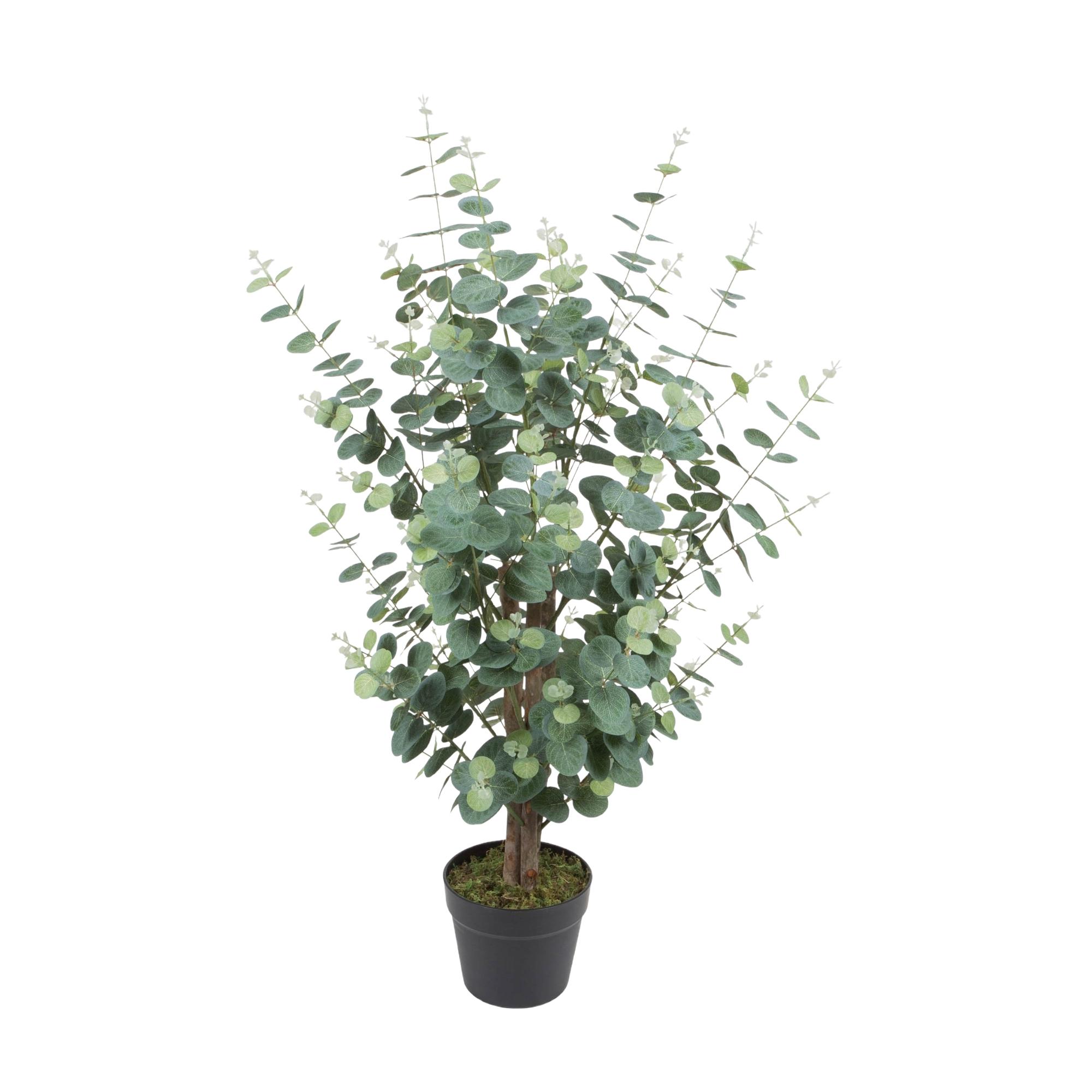 PLANTA COM VASO 95X60X95CM - 592-400064