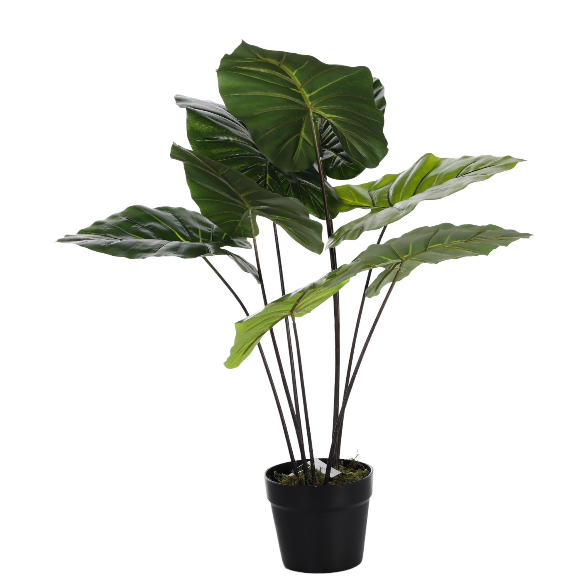 PLANT WITH POT 70X60X70CM - 592-400082