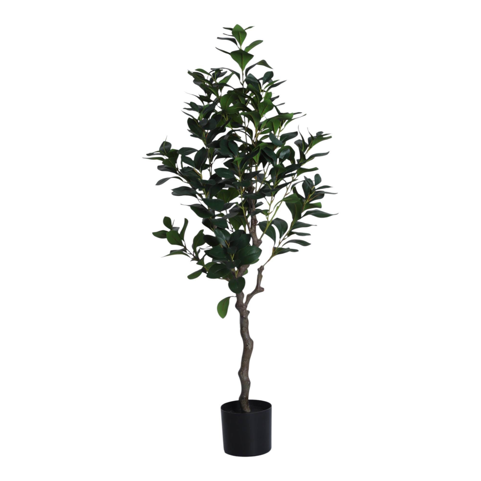 PLANTA COM VASO 70X120X120CM - 592-400204
