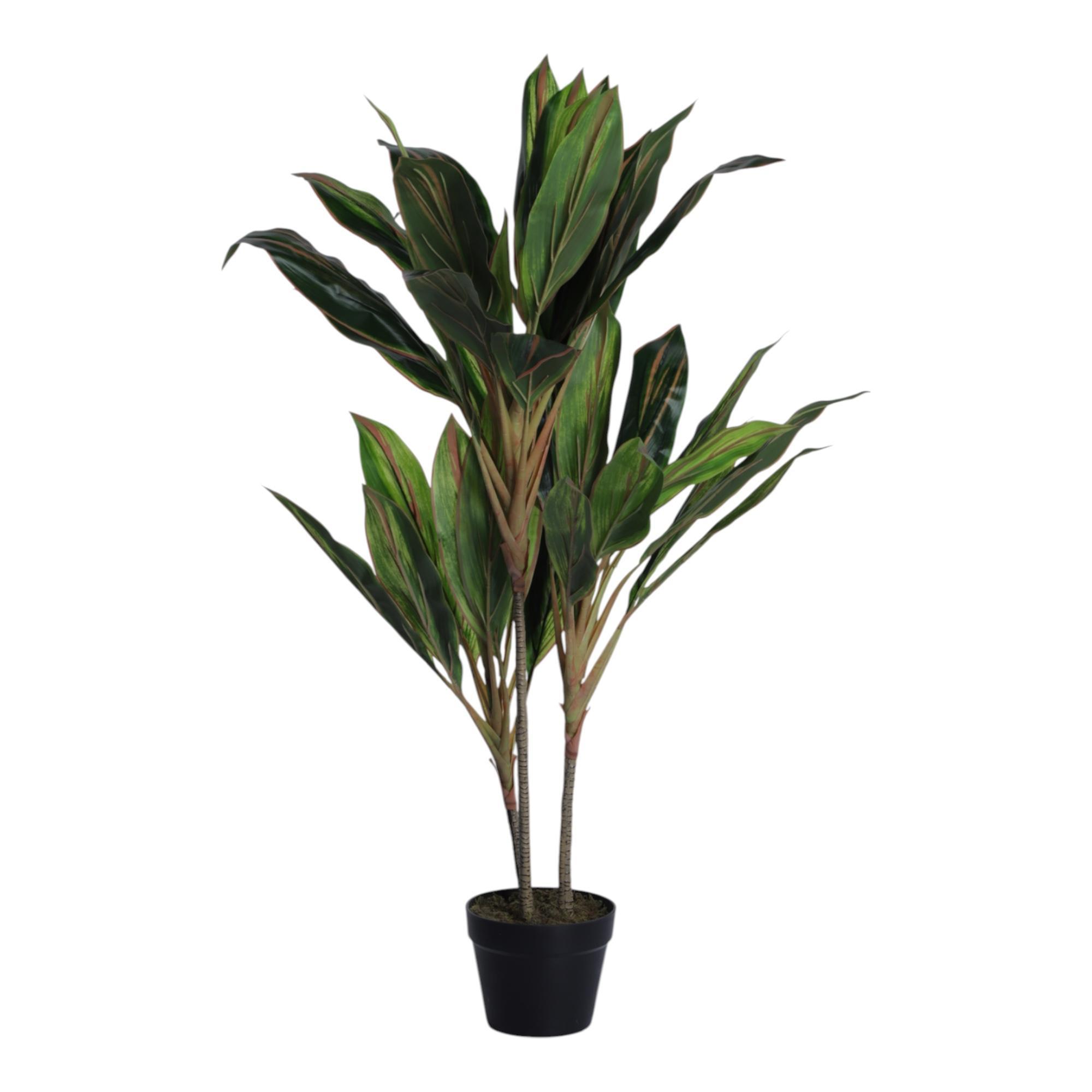 PLANTA CON POTE 120X60X120CM - 592-400240