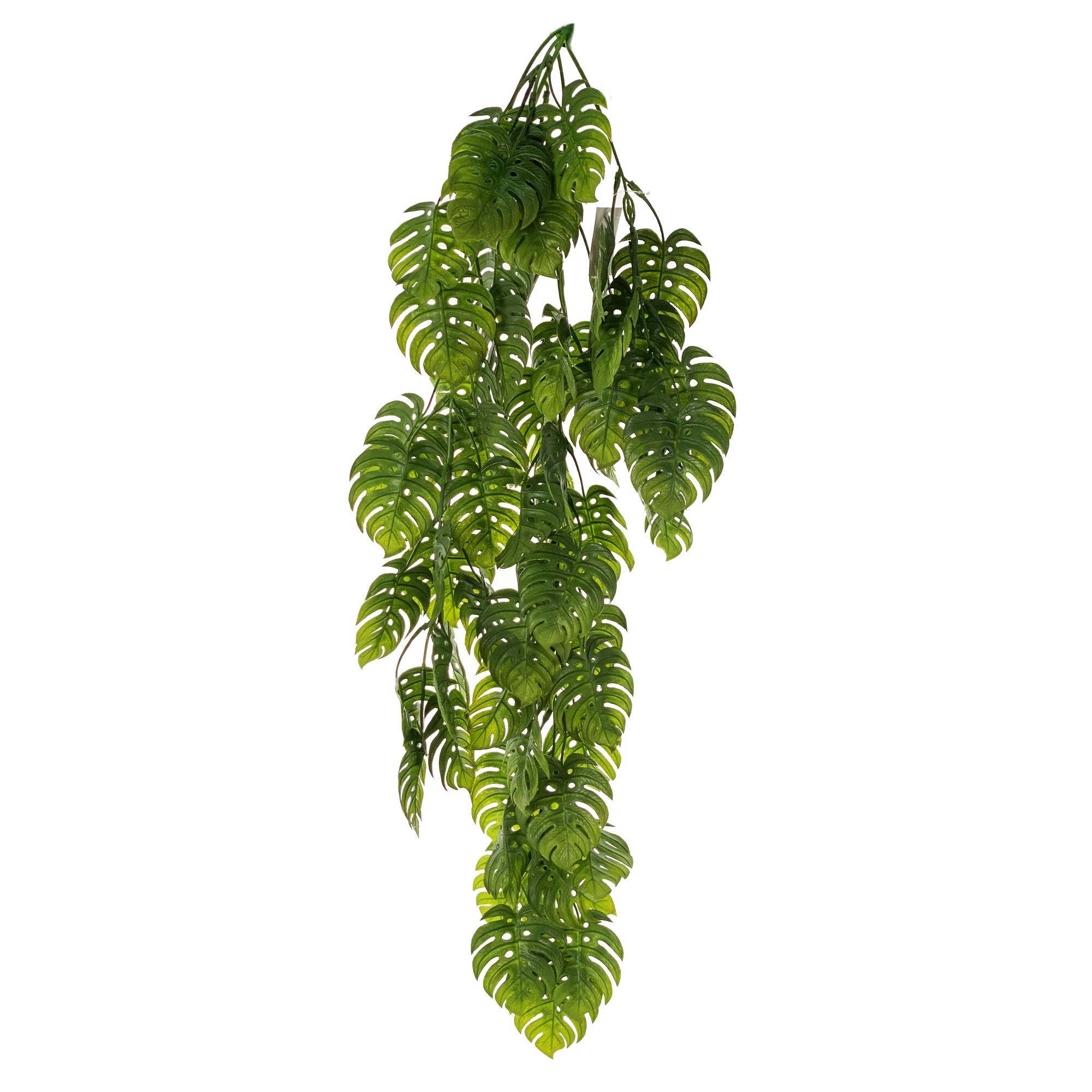 artificial plants - 592-450048