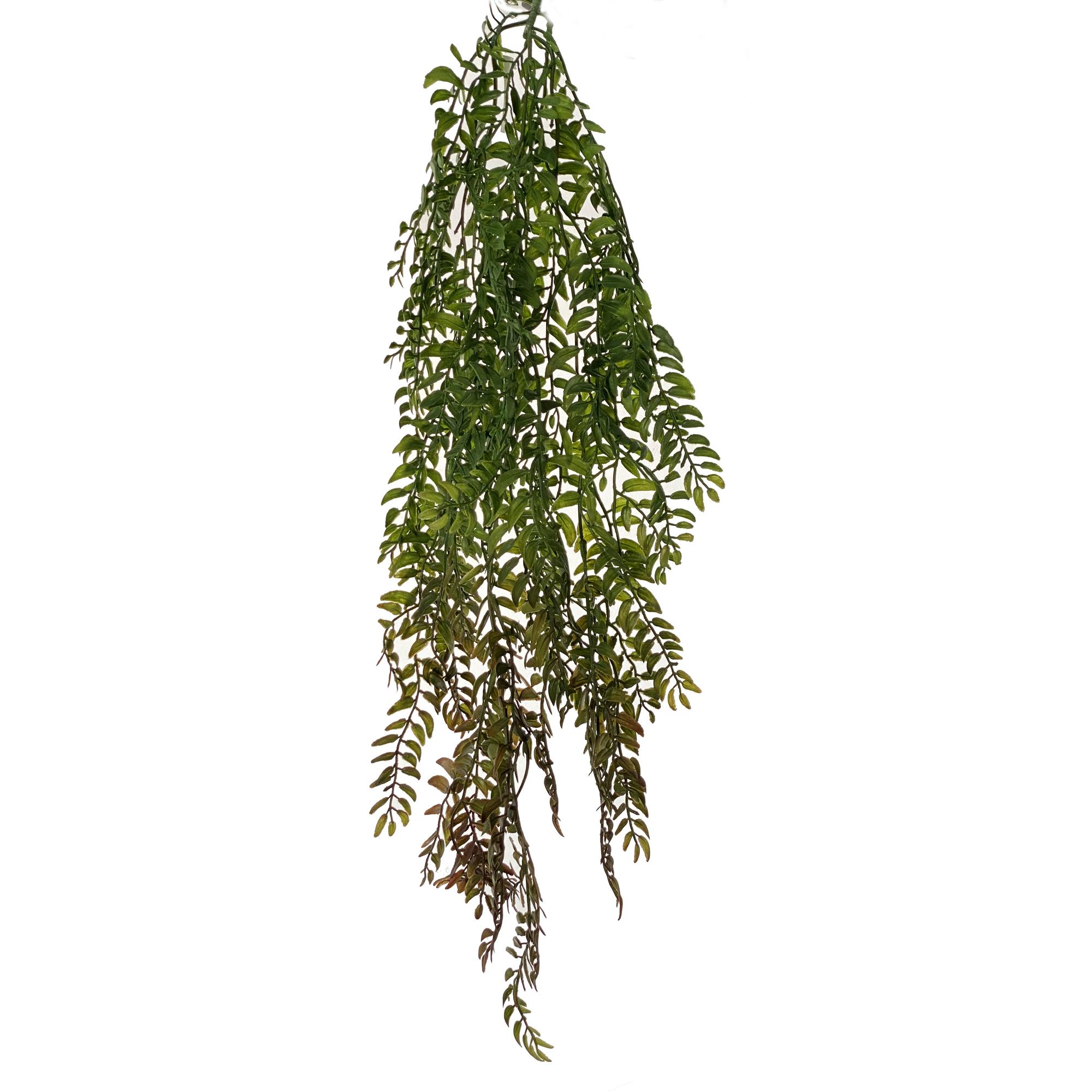 artificial plants - 592-450058