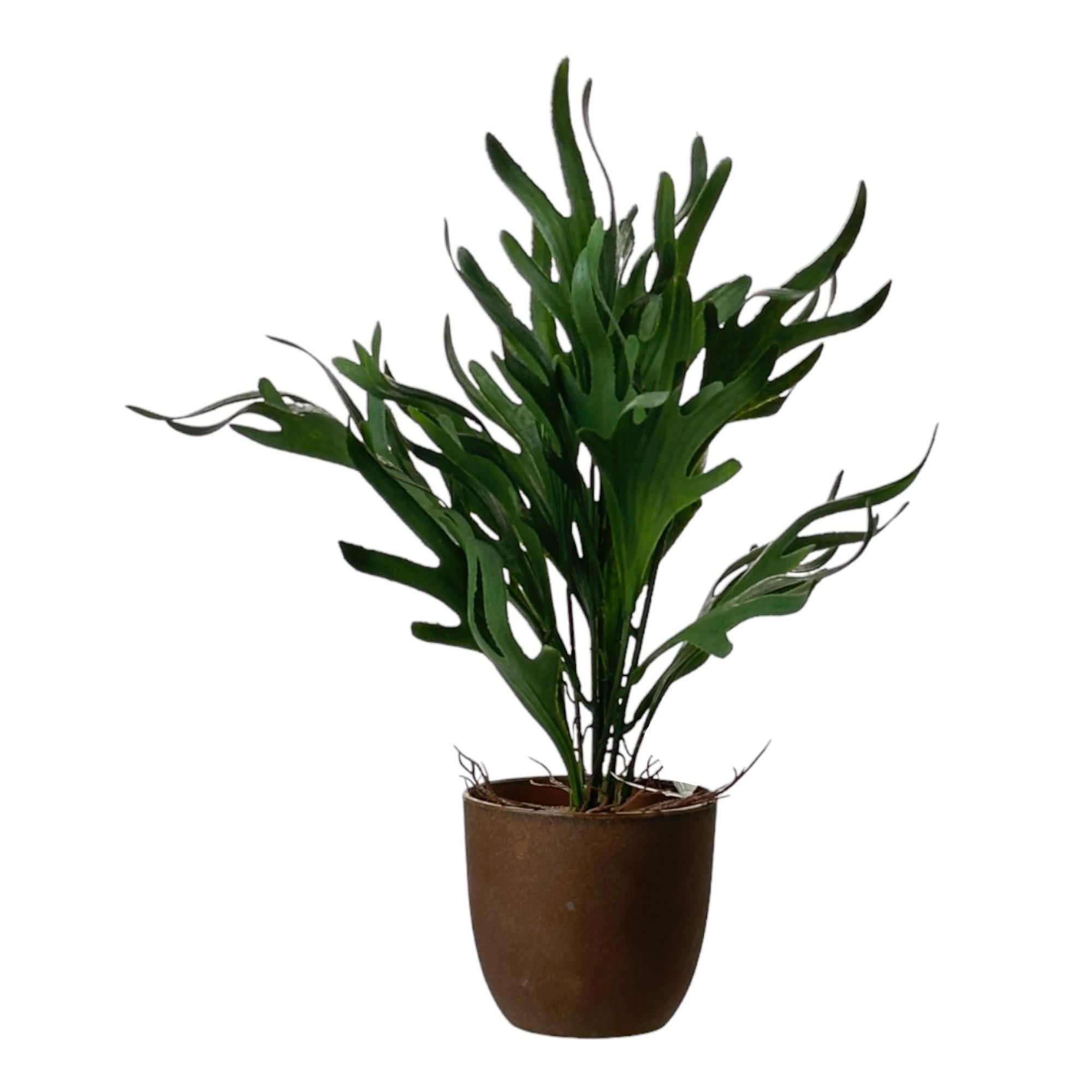 PLANTA COM VASO 10X32CM - 592-450108