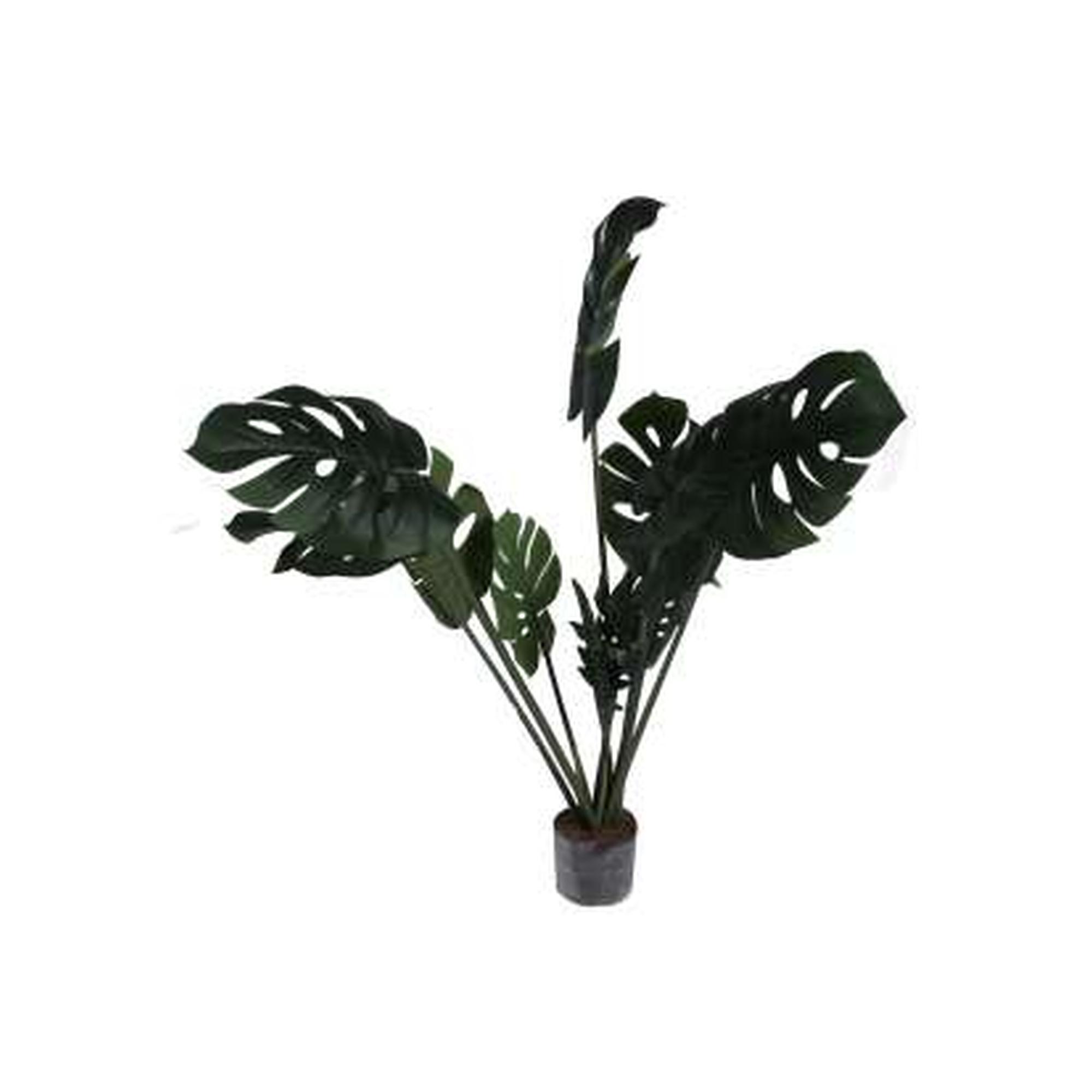 PLANT WITH POT 120X80X120 CM - 592-460009