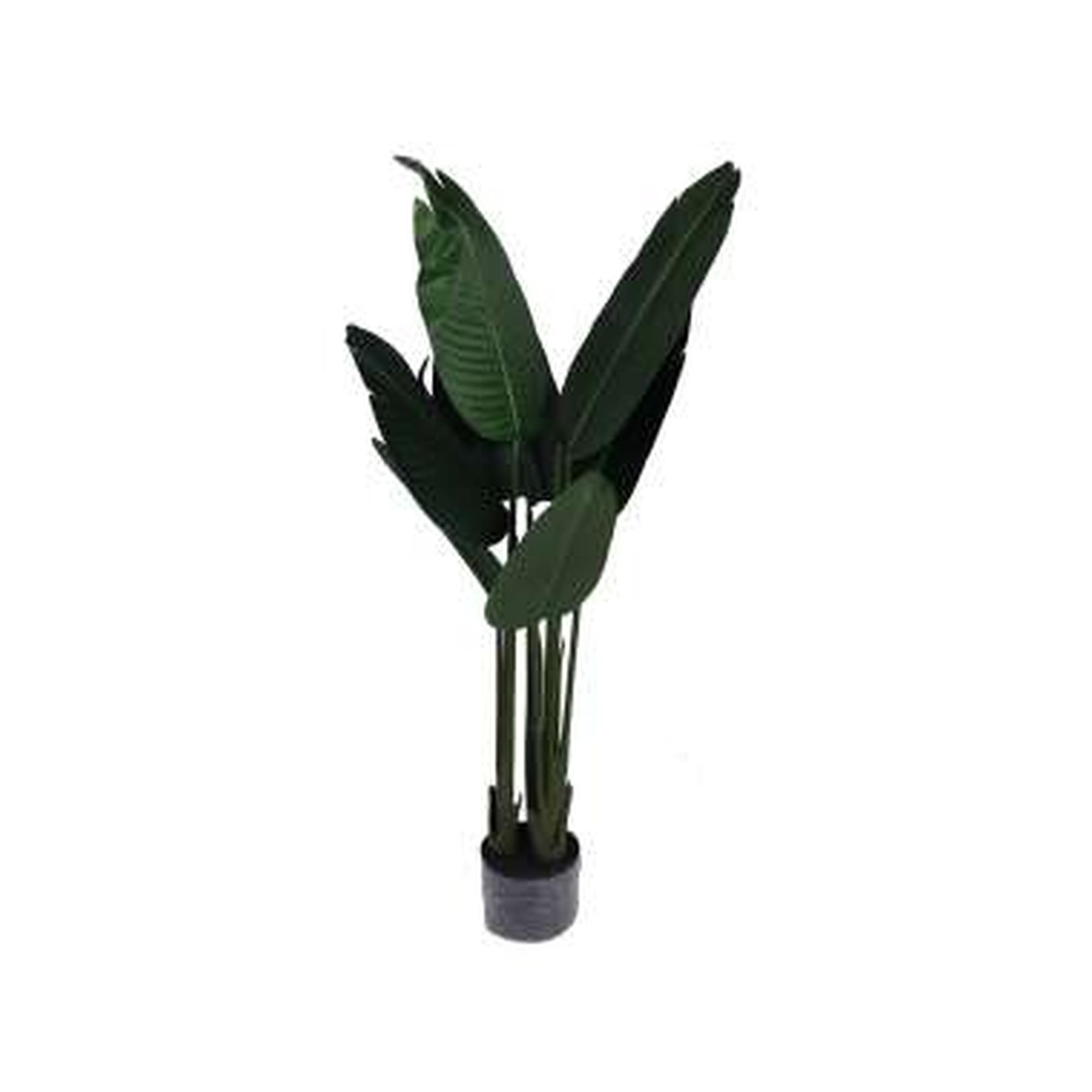 PLANT WITH POT 120X80X120 CM - 592-460012