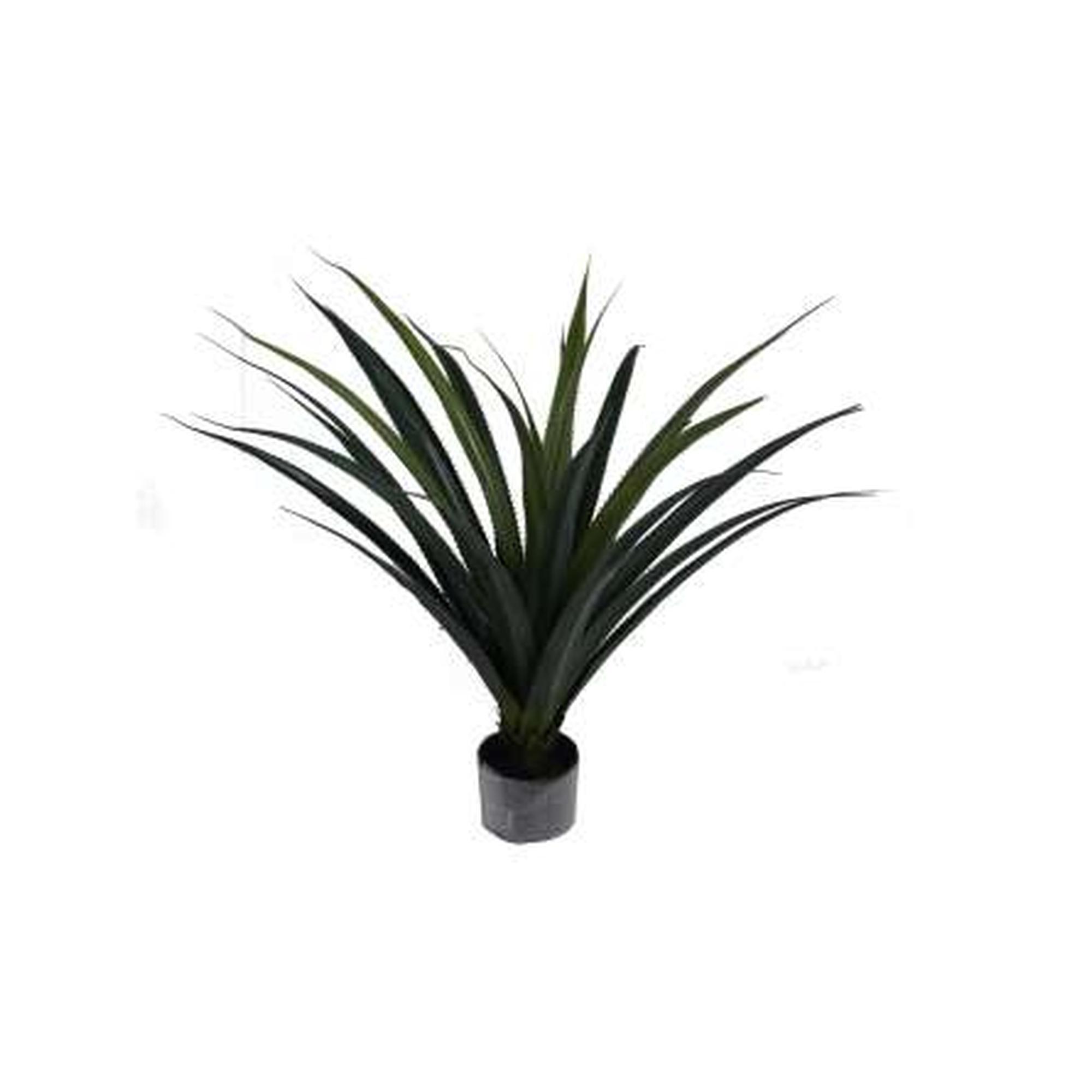 AGAVE C/POTE 80X70X80 CM H:80C - 592-460016