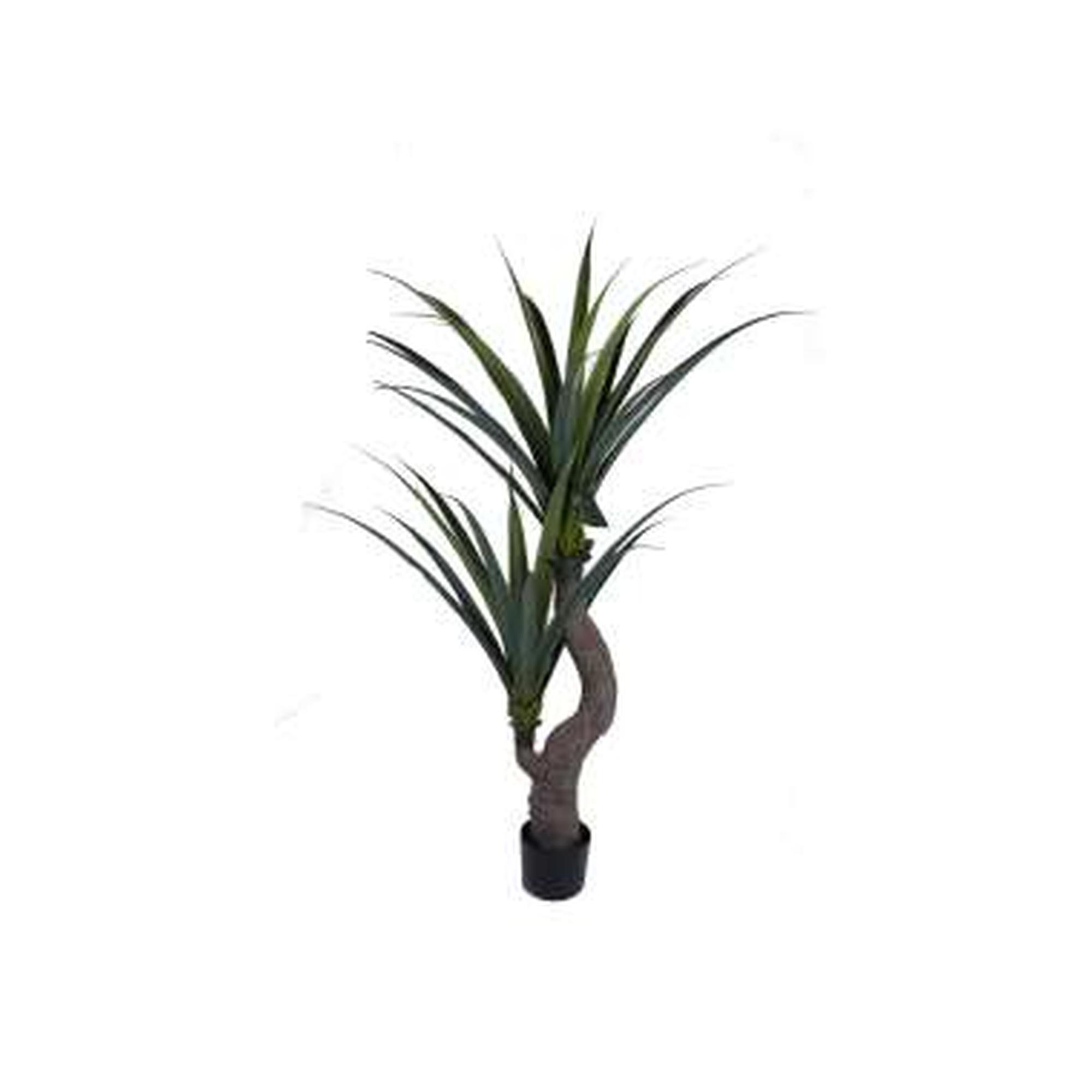 PLANTA C/POTE H:150CM - 592-460017