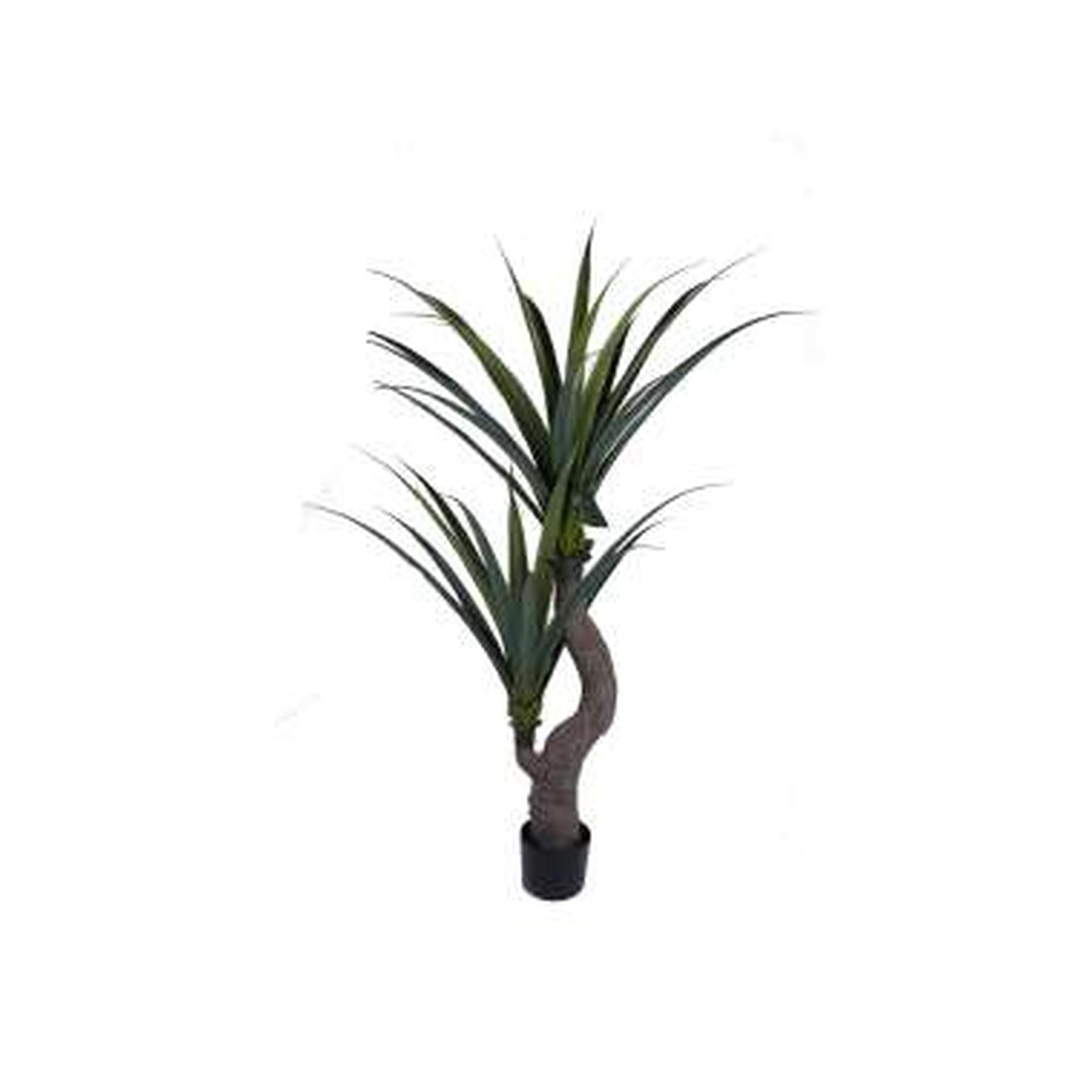 AGAVE COM VASO 160X90X150 H: 150CM - 592-460017