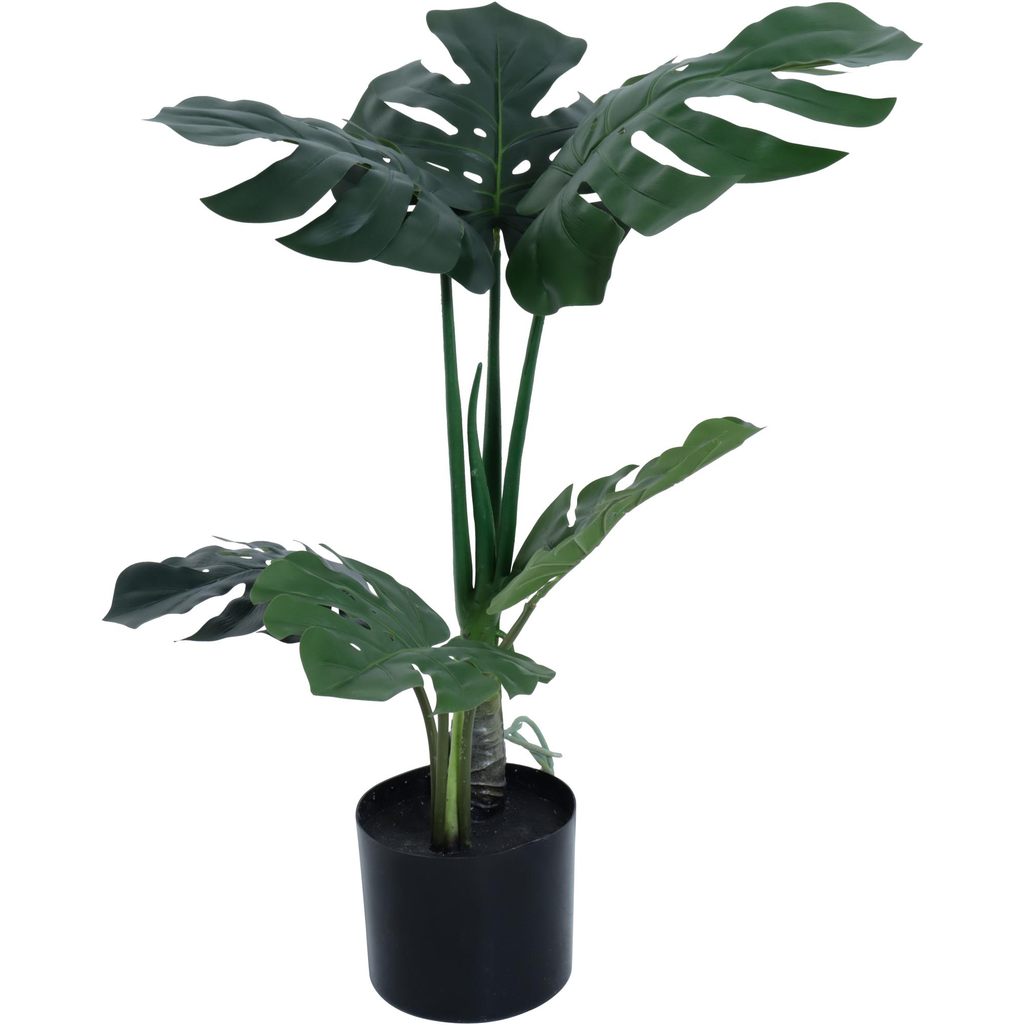 PLANT WITH POT 60X60X60 CM - 592-460039