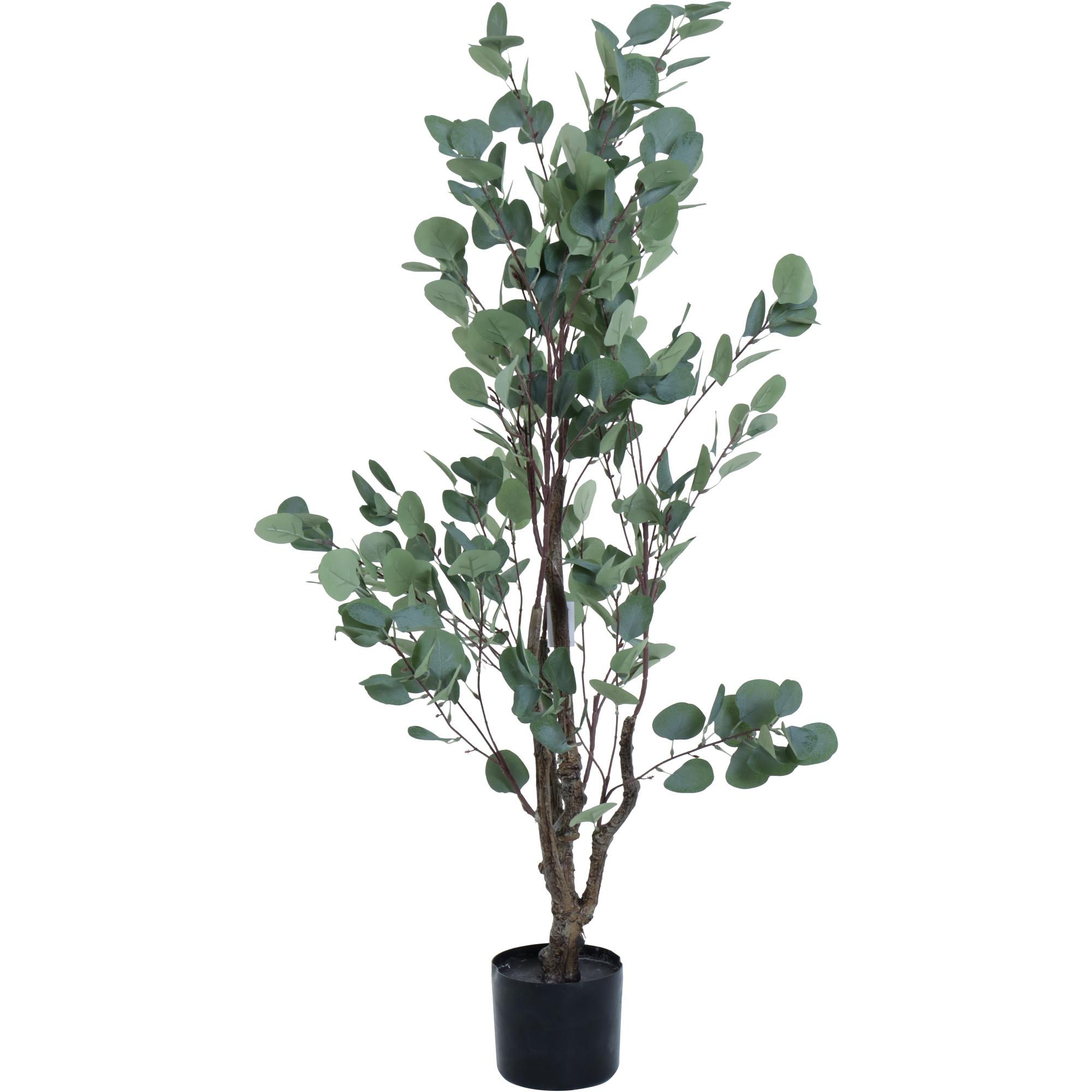 VASO C/ DE EUCALIPTO H: 120 CM - 592-460042