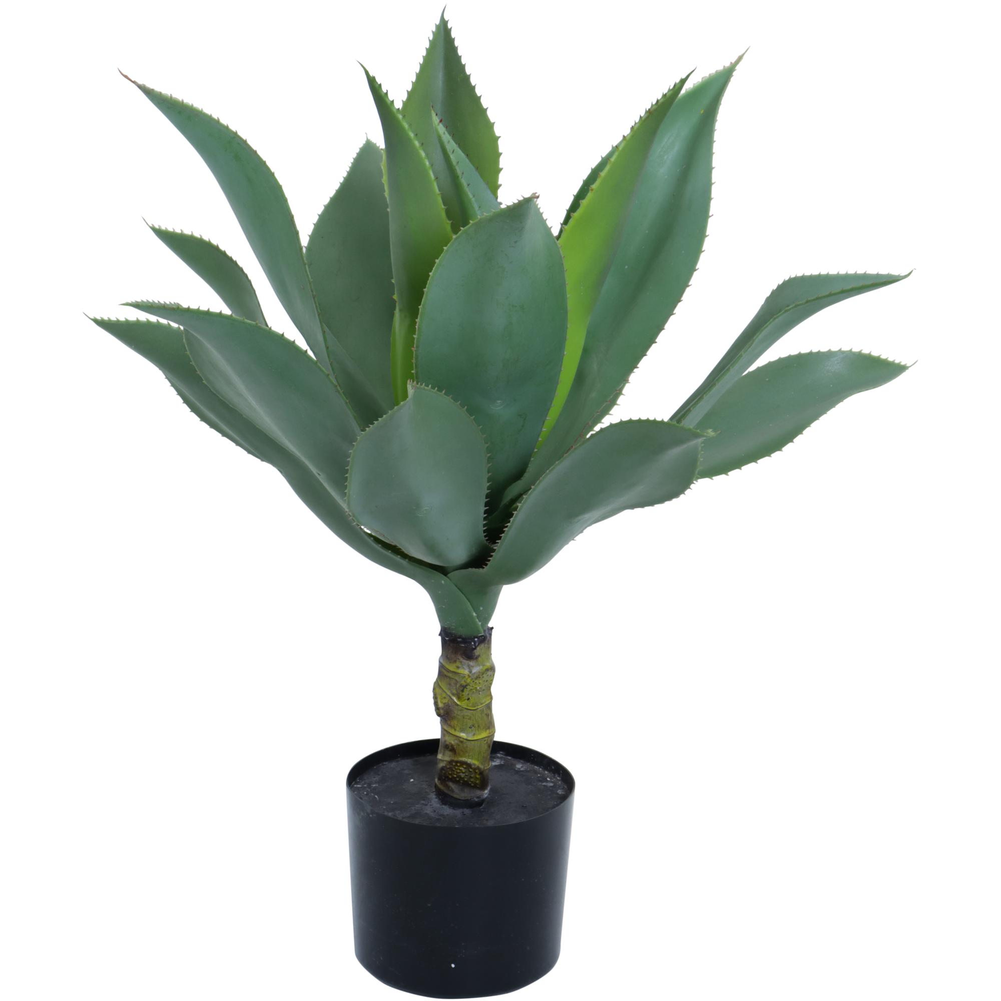 AGAVE C/DECORAÇÃO EM VASO 60X60X60 CM - 592-460049