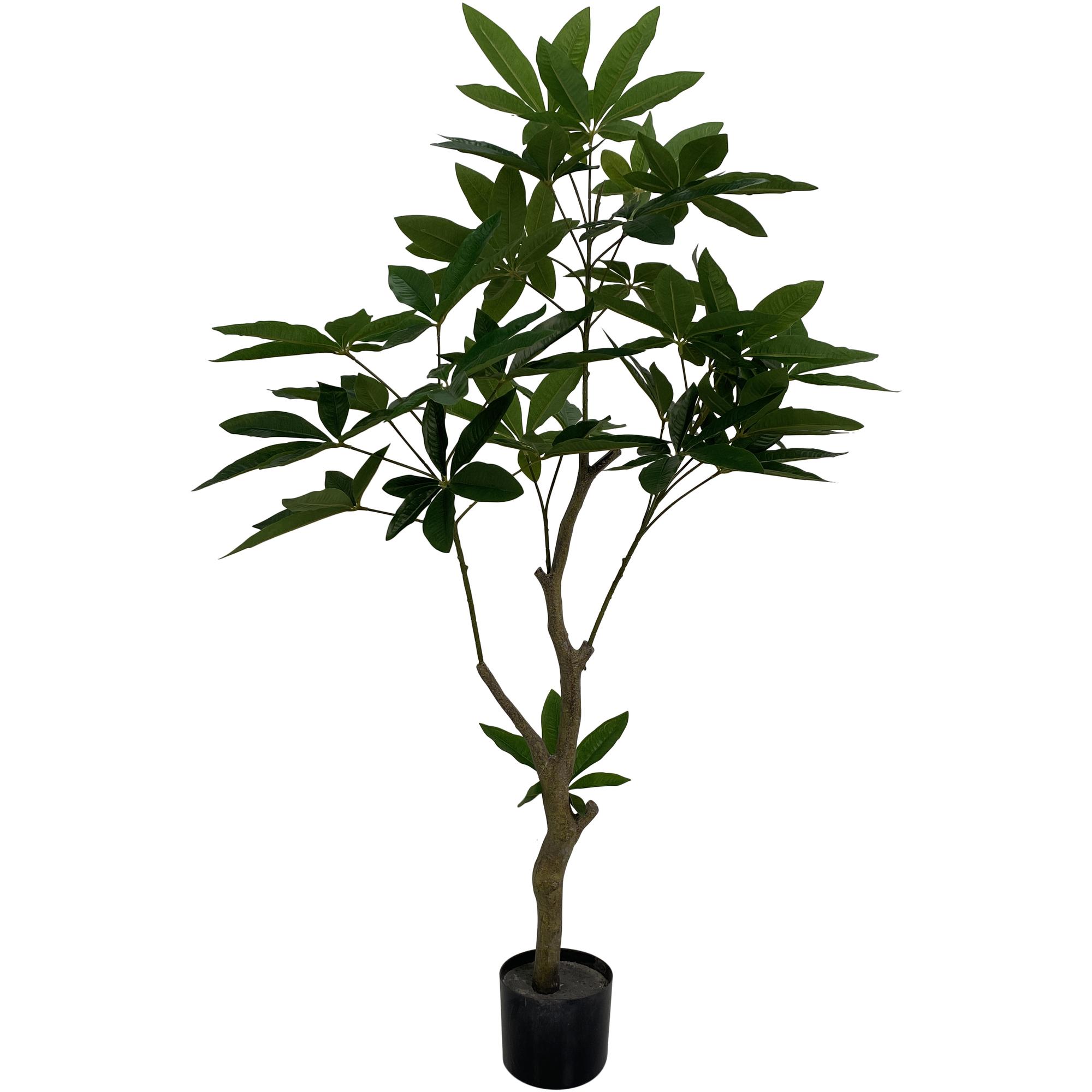 PLANT WITH POT 120X65X120CM - 592-460051